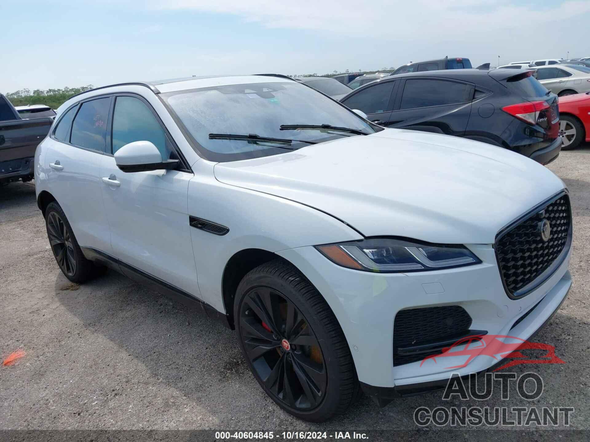 JAGUAR F-PACE 2021 - SADCJ2EU6MA686826