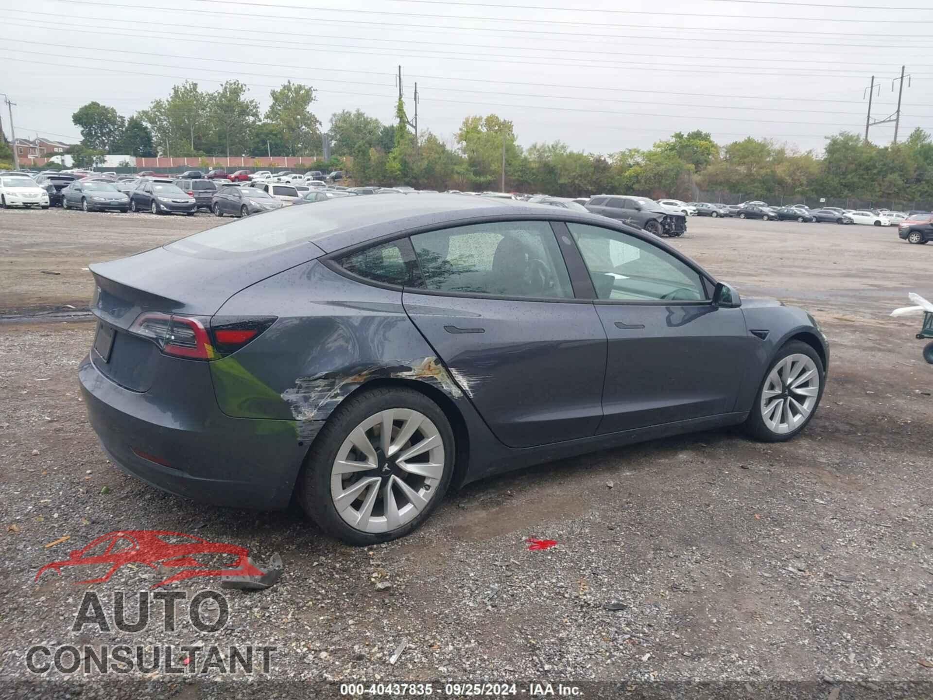 TESLA MODEL 3 2021 - 5YJ3E1EA8MF851038