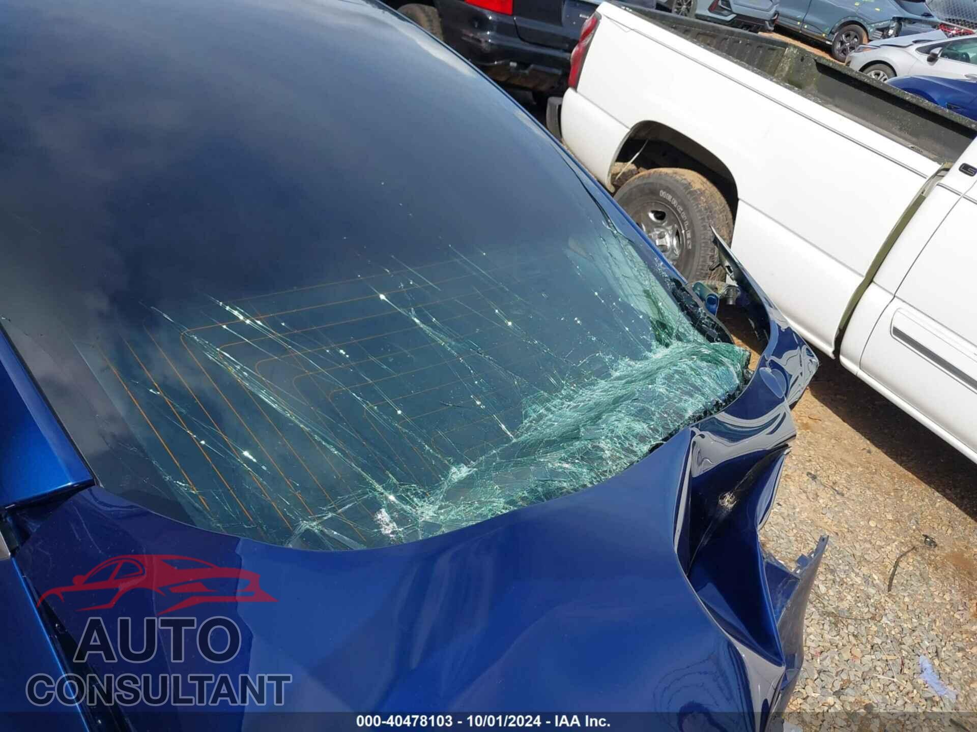 TESLA MODEL 3 2019 - 5YJ3E1EA5KF466503