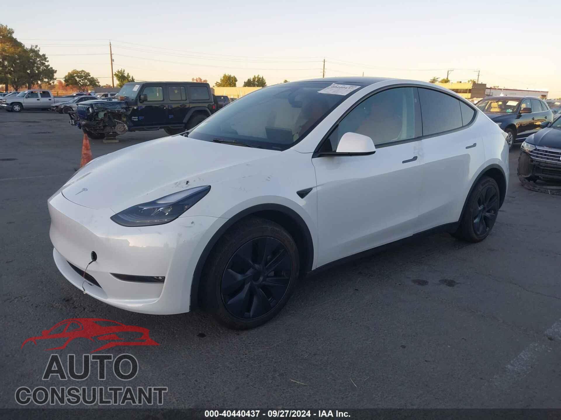 TESLA MODEL Y 2024 - 7SAYGDEE3RF122797