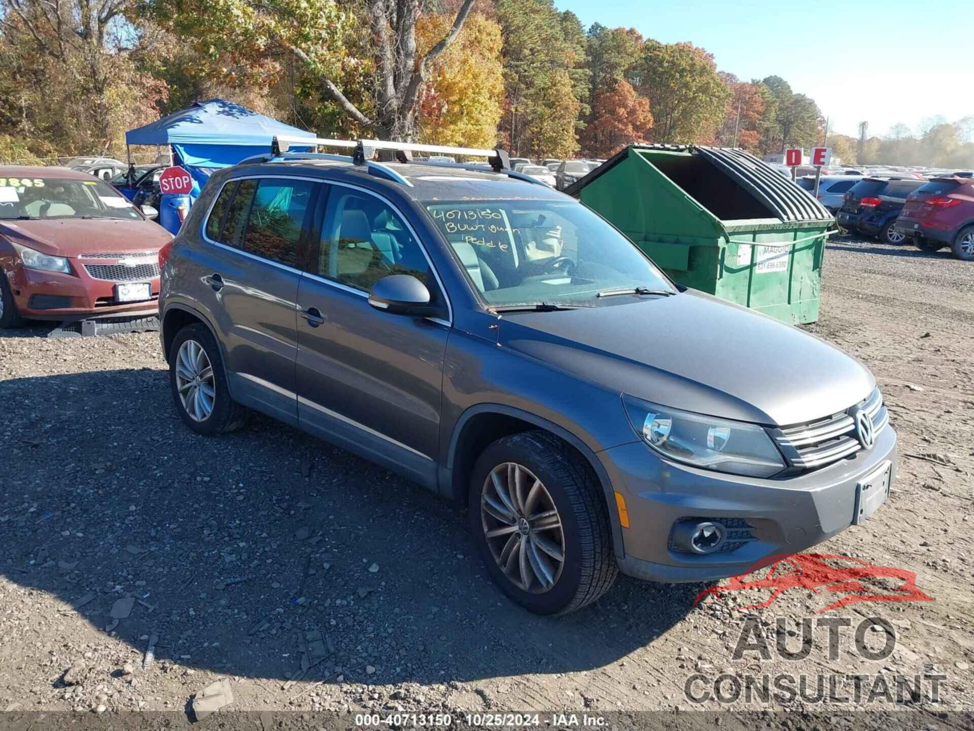 VOLKSWAGEN TIGUAN 2013 - WVGBV3AX9DW604202