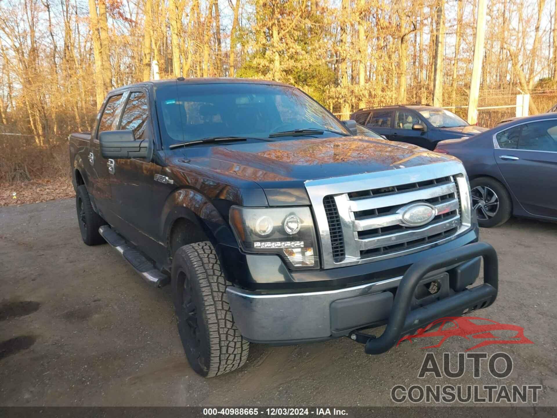 FORD F-150 2009 - 1FTRW14809FA29665