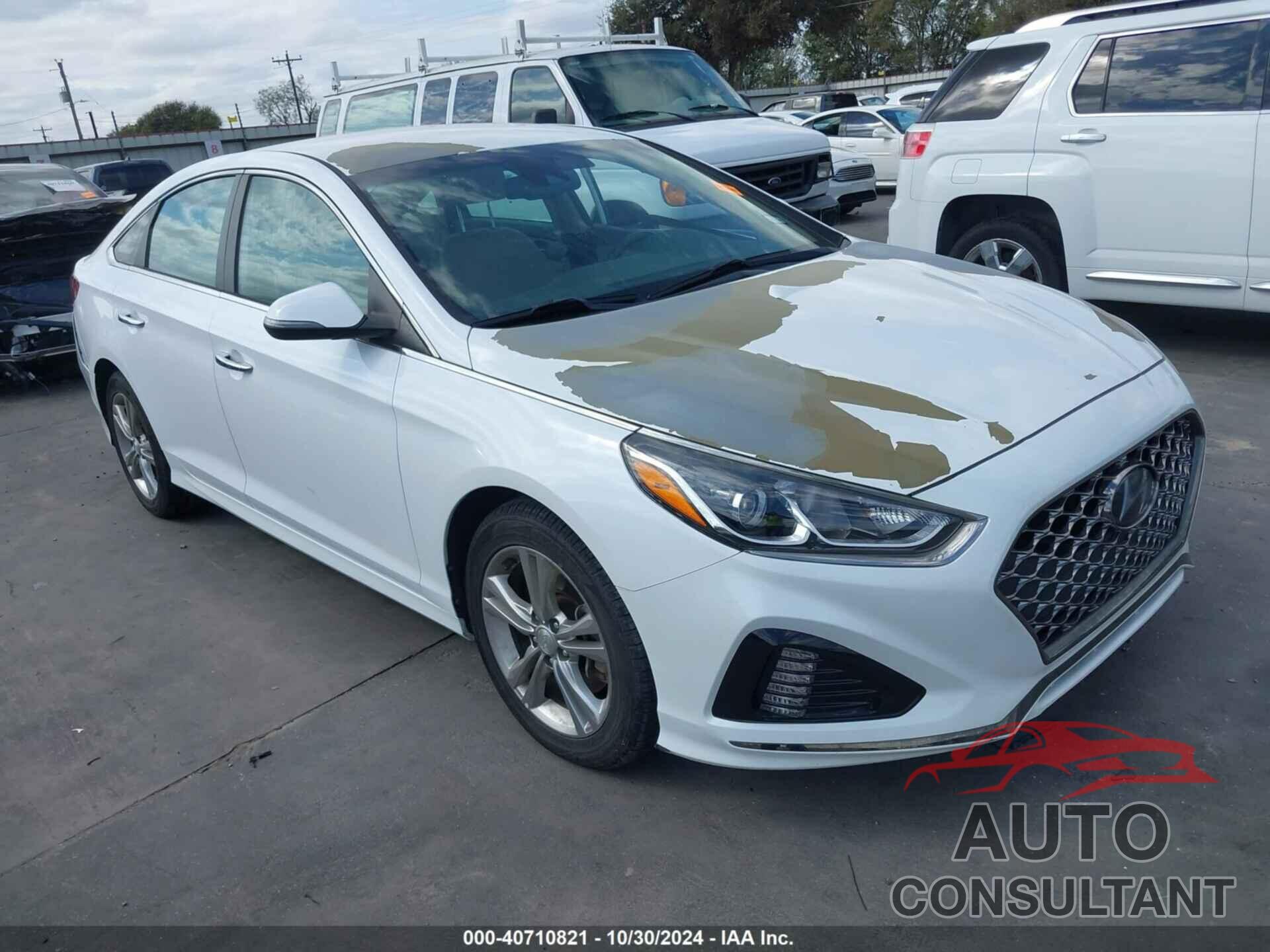HYUNDAI SONATA 2019 - 5NPE34AF4KH779481
