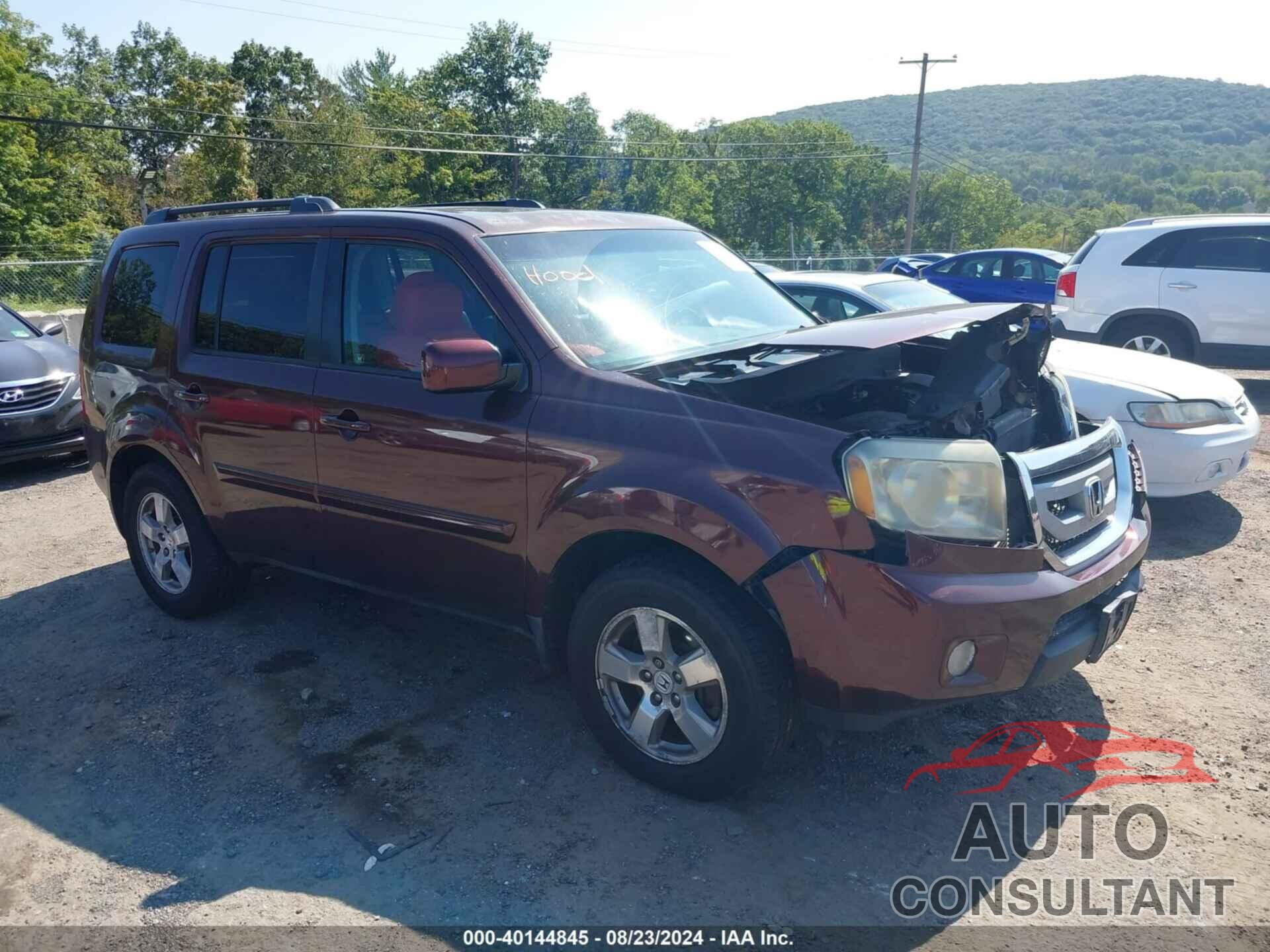 HONDA PILOT 2011 - 5FNYF4H59BB078905