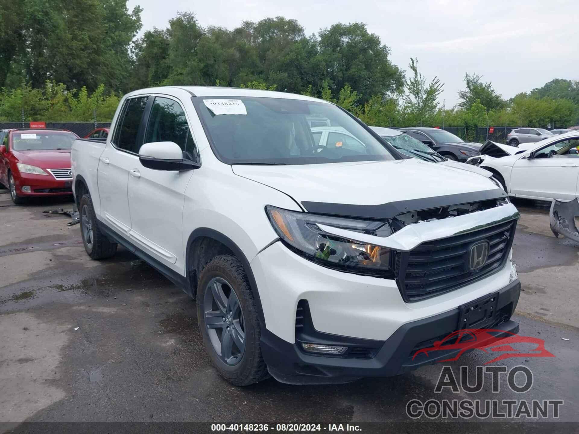 HONDA RIDGELINE 2022 - 5FPYK3F59NB025917