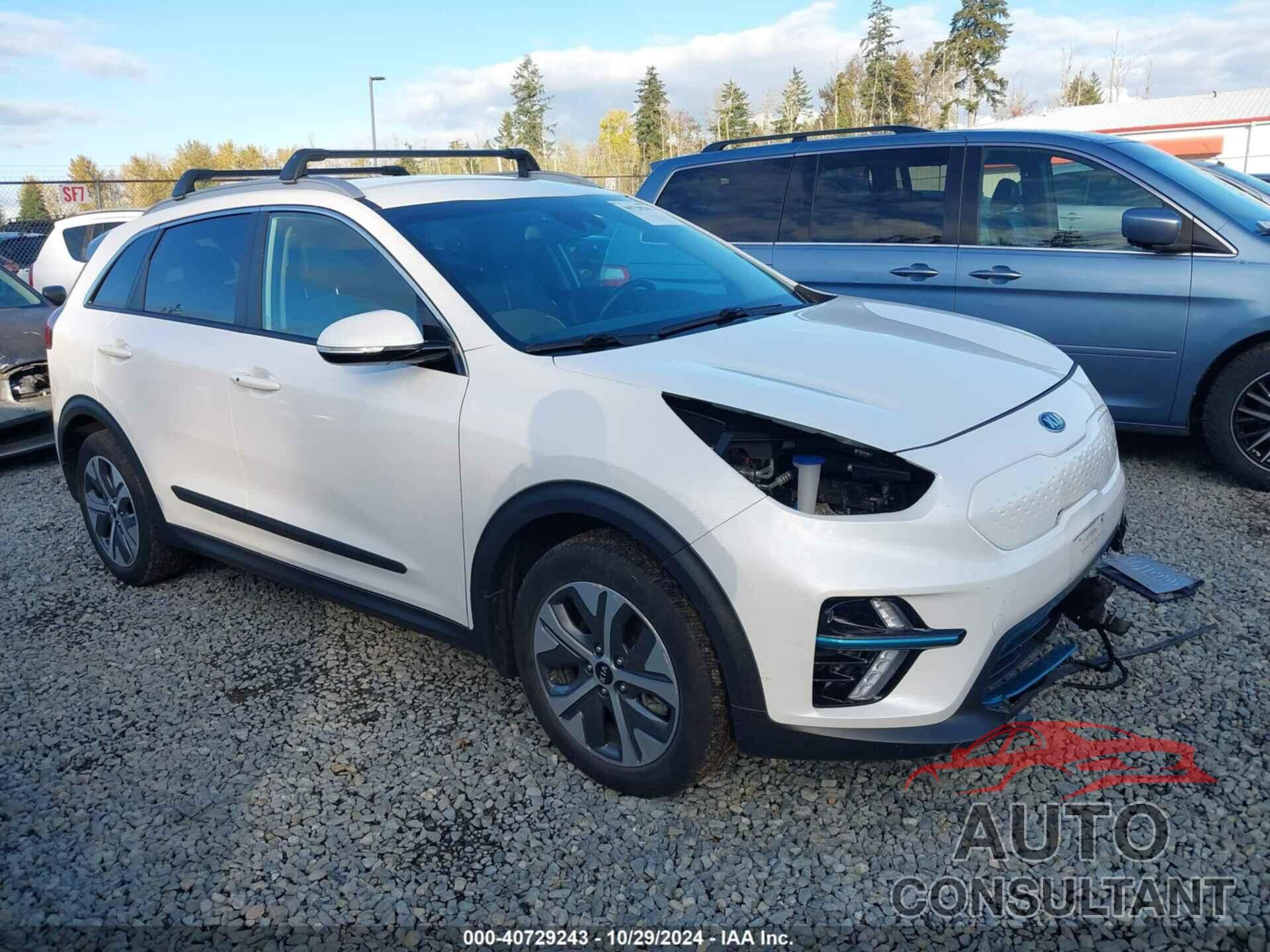 KIA NIRO EV 2019 - KNDCC3LG4K5020952
