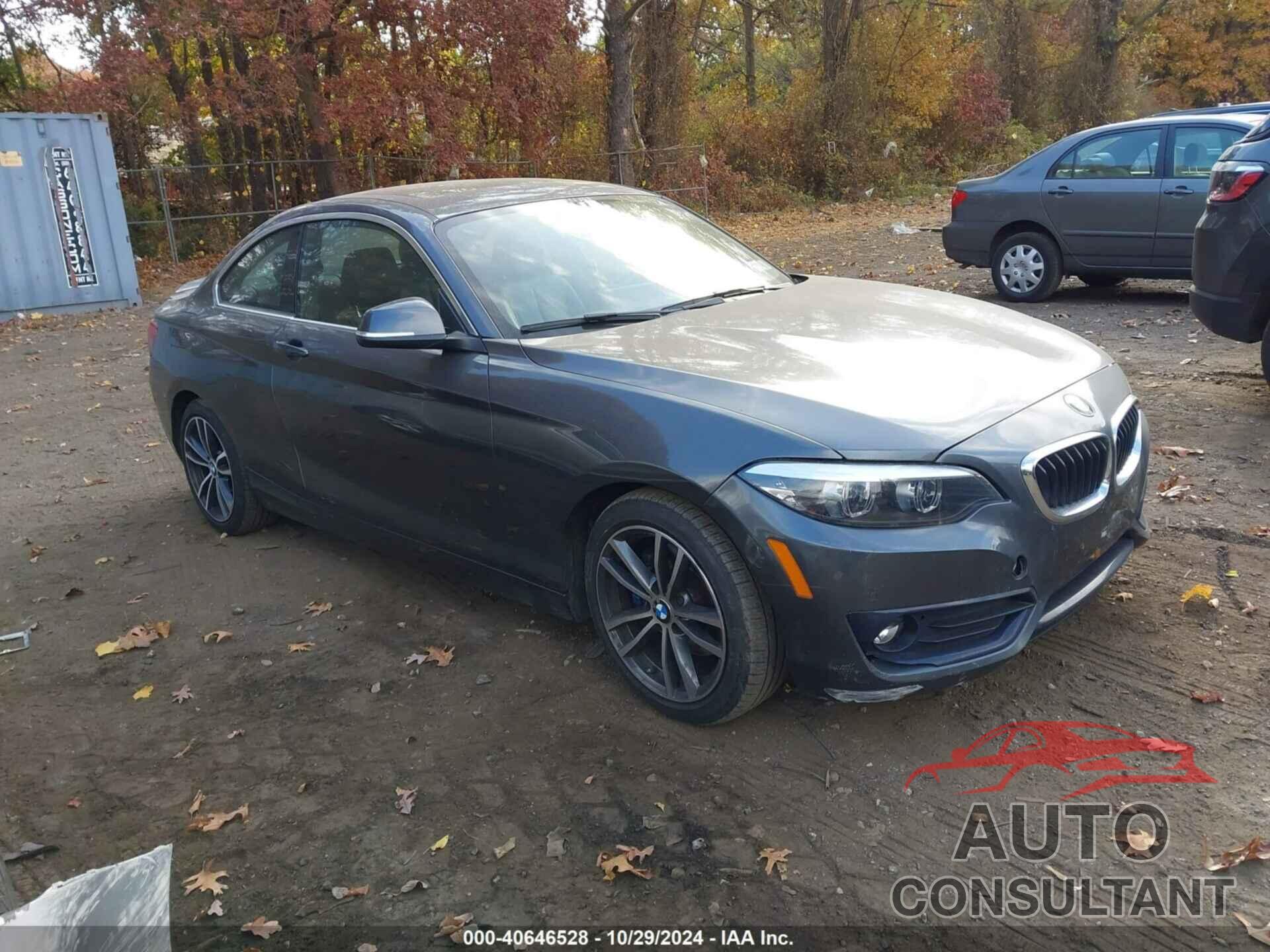 BMW 230I 2018 - WBA2J3C59JVD48379