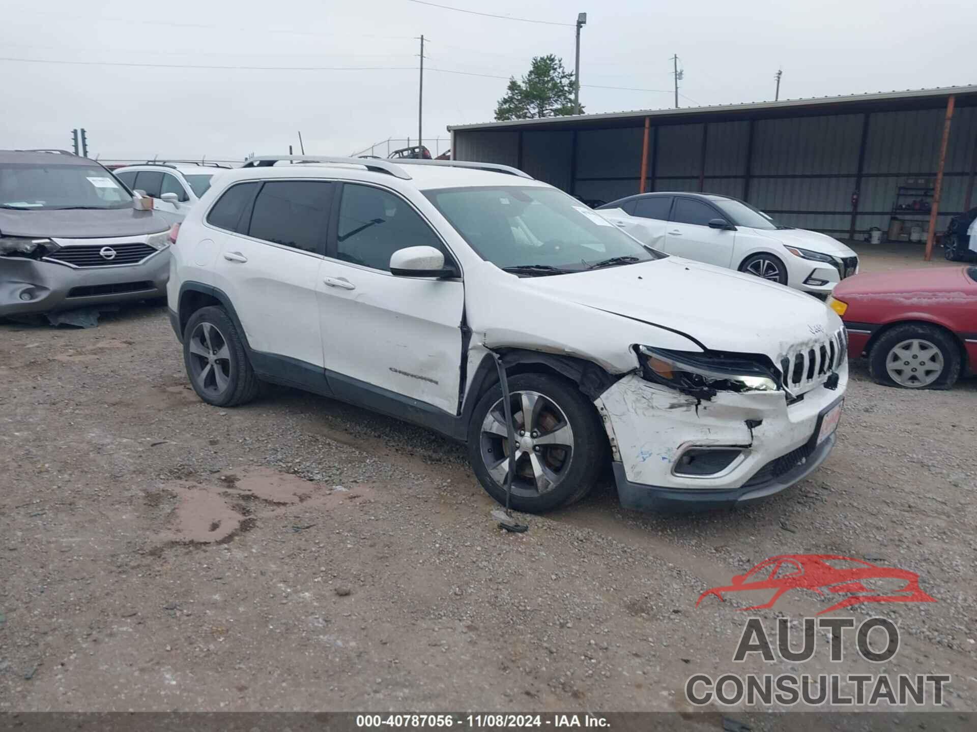 JEEP CHEROKEE 2019 - 1C4PJLDB8KD195916