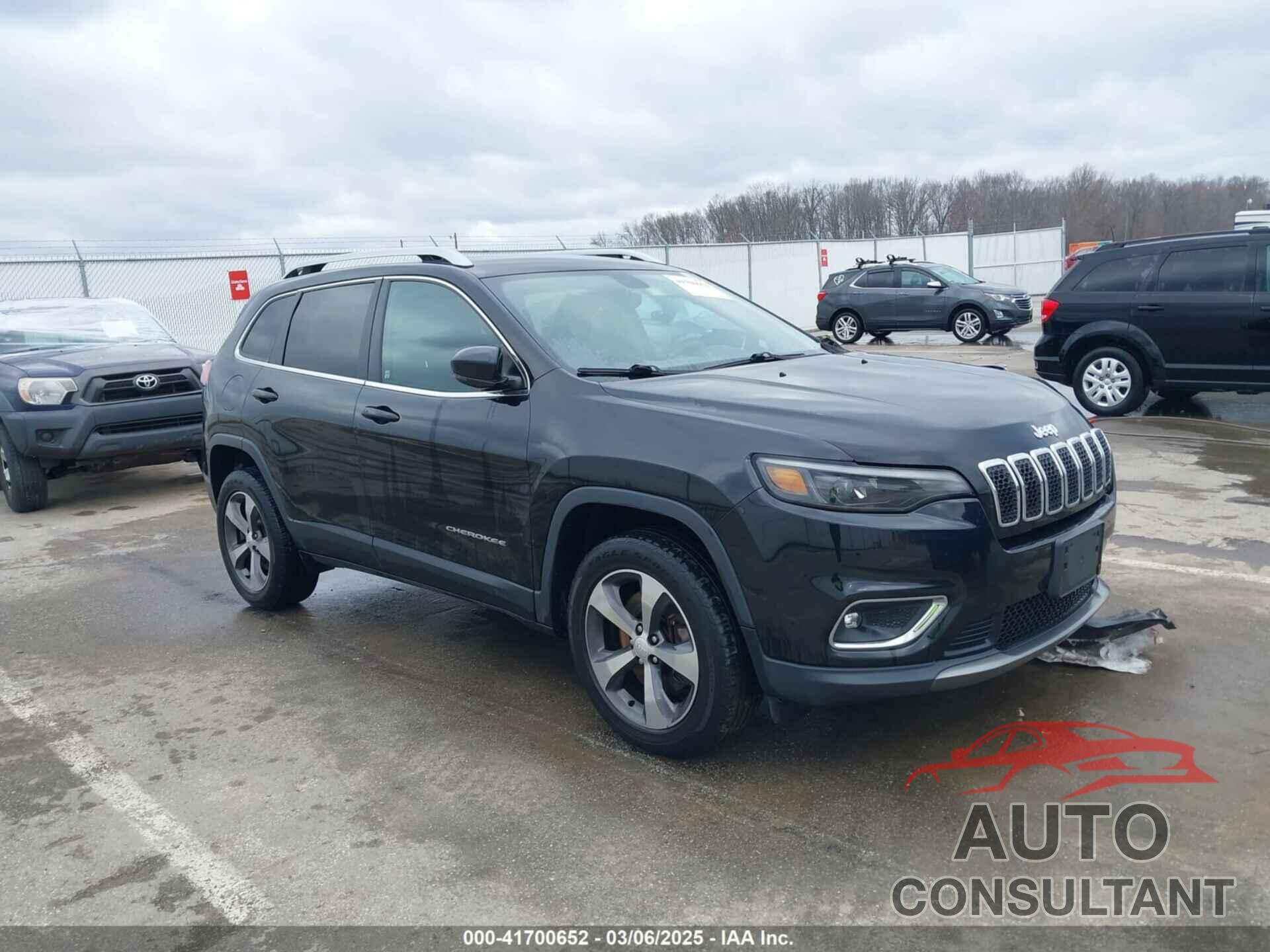 JEEP CHEROKEE 2019 - 1C4PJMDN6KD162994