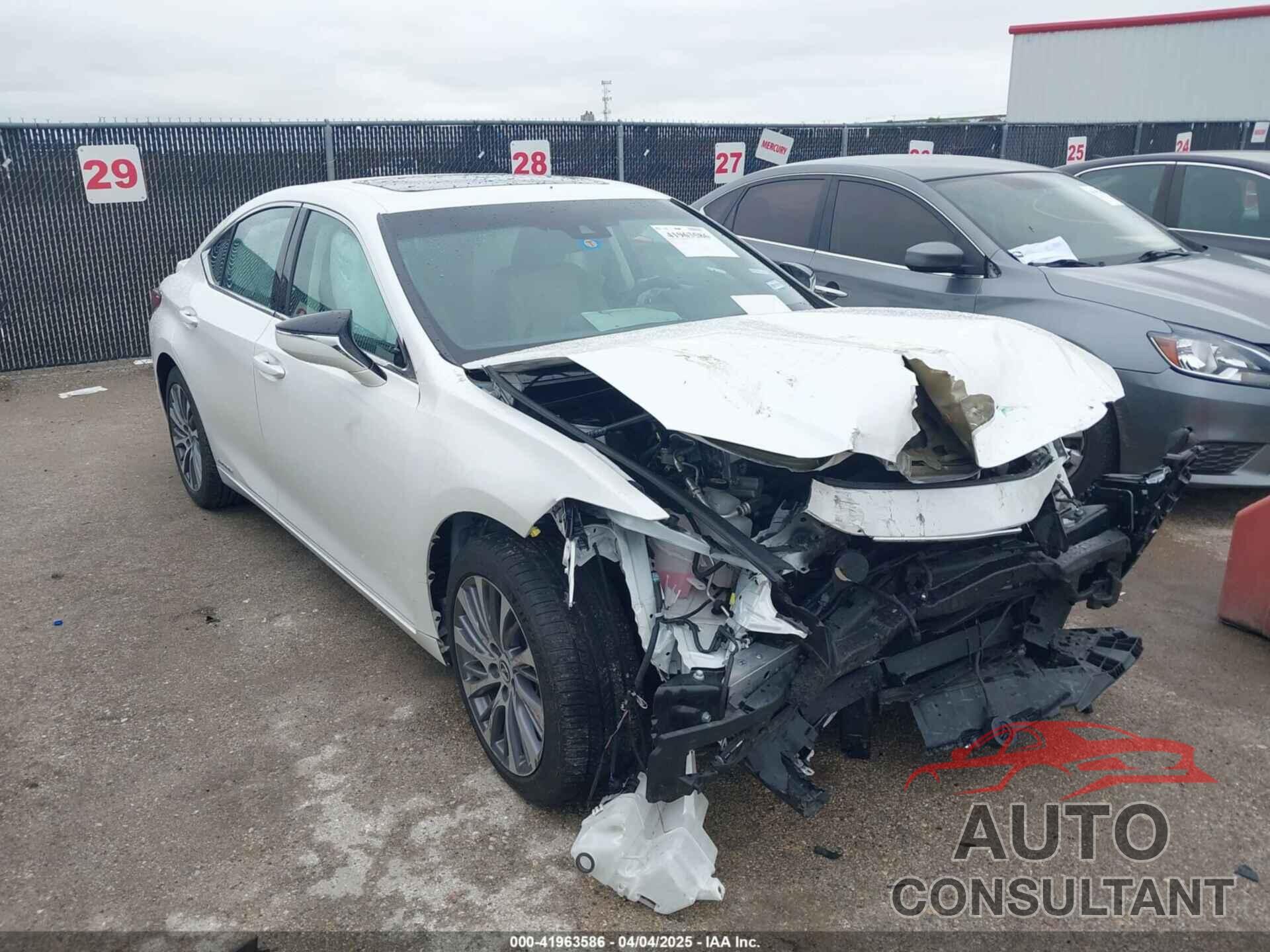 LEXUS ES 300H 2021 - 58ADA1C19MU008643