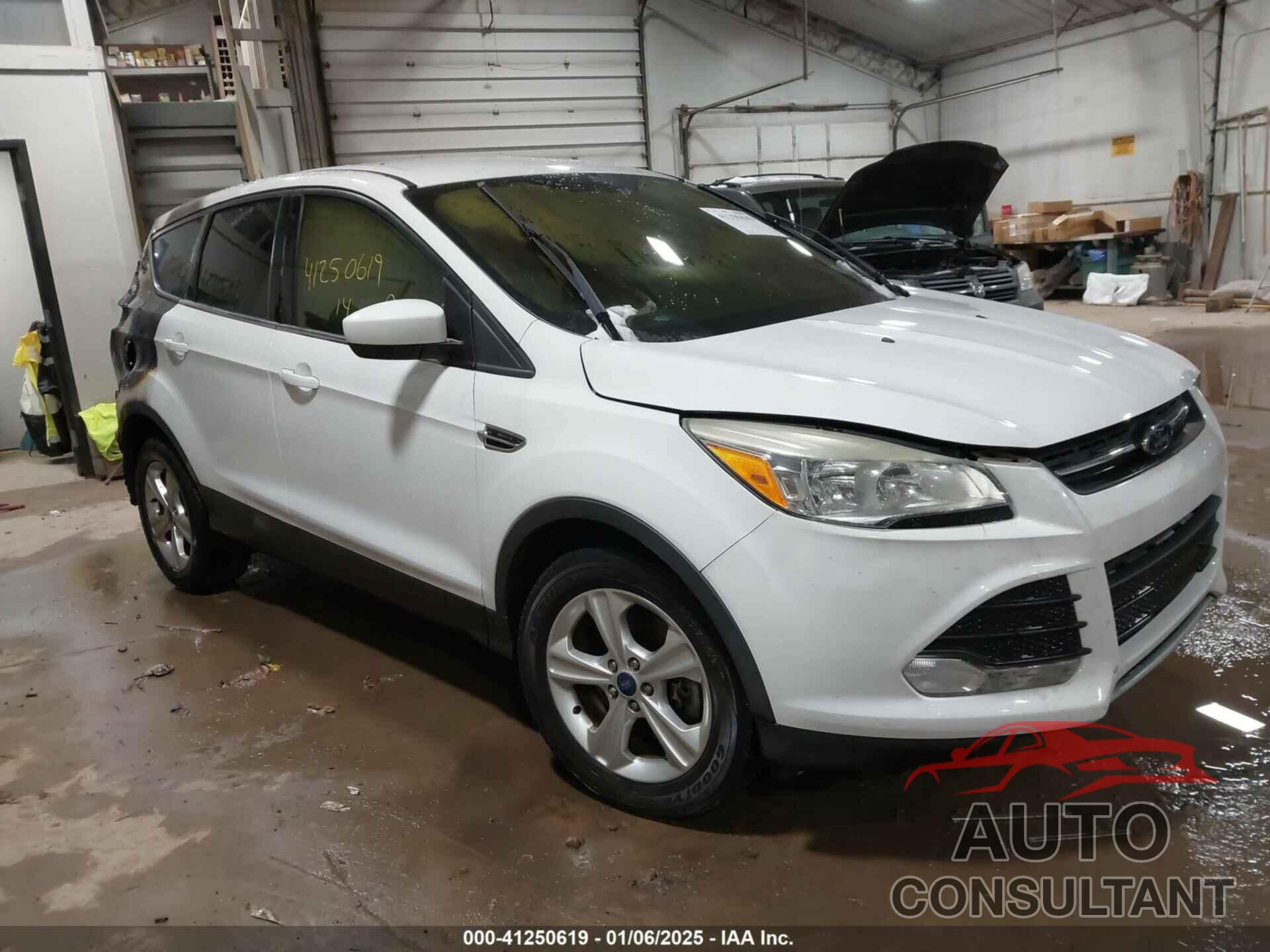 FORD ESCAPE 2014 - 1FMCU9GX3EUB25983