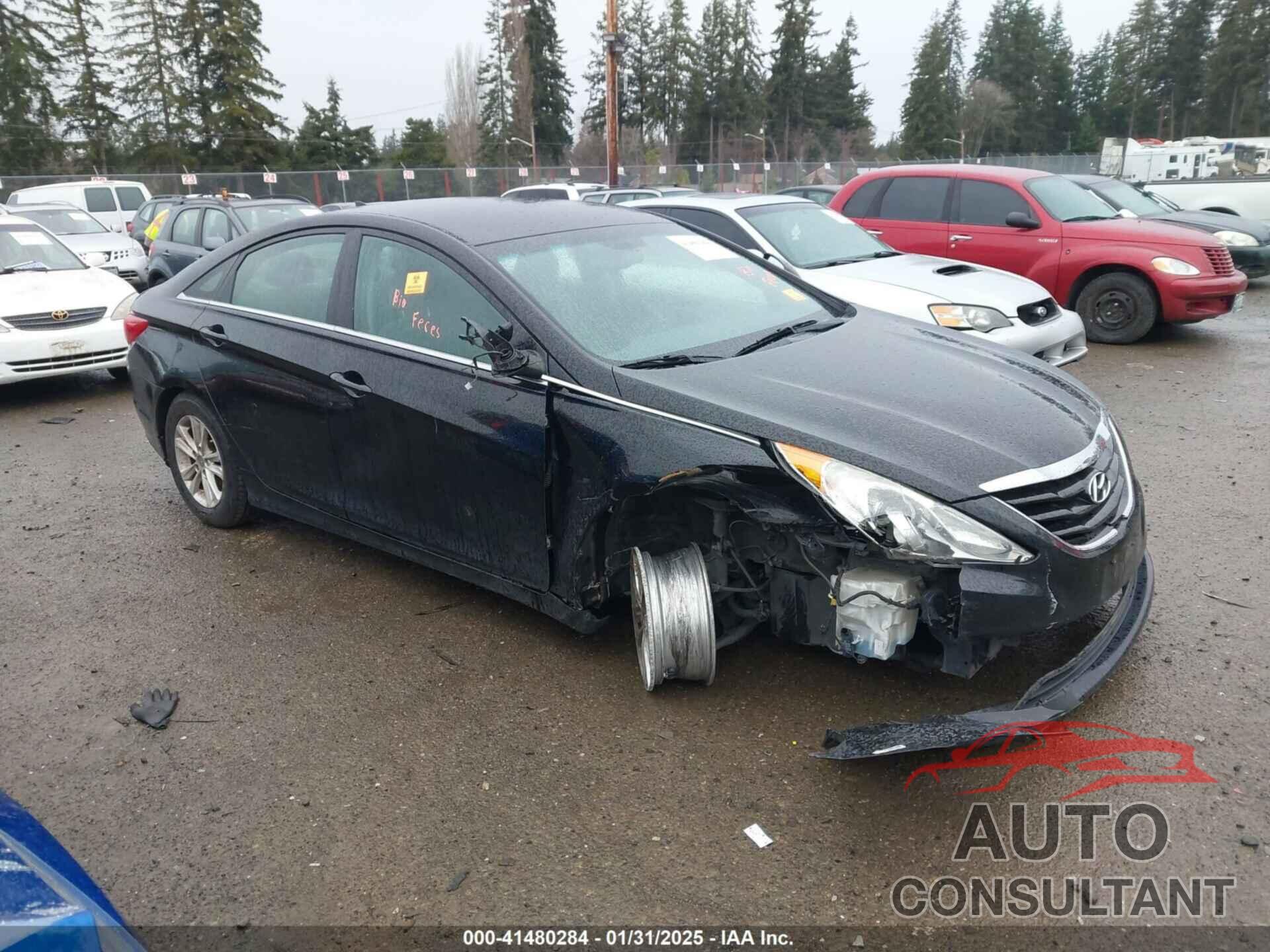 HYUNDAI SONATA 2013 - 5NPEB4ACXDH672530