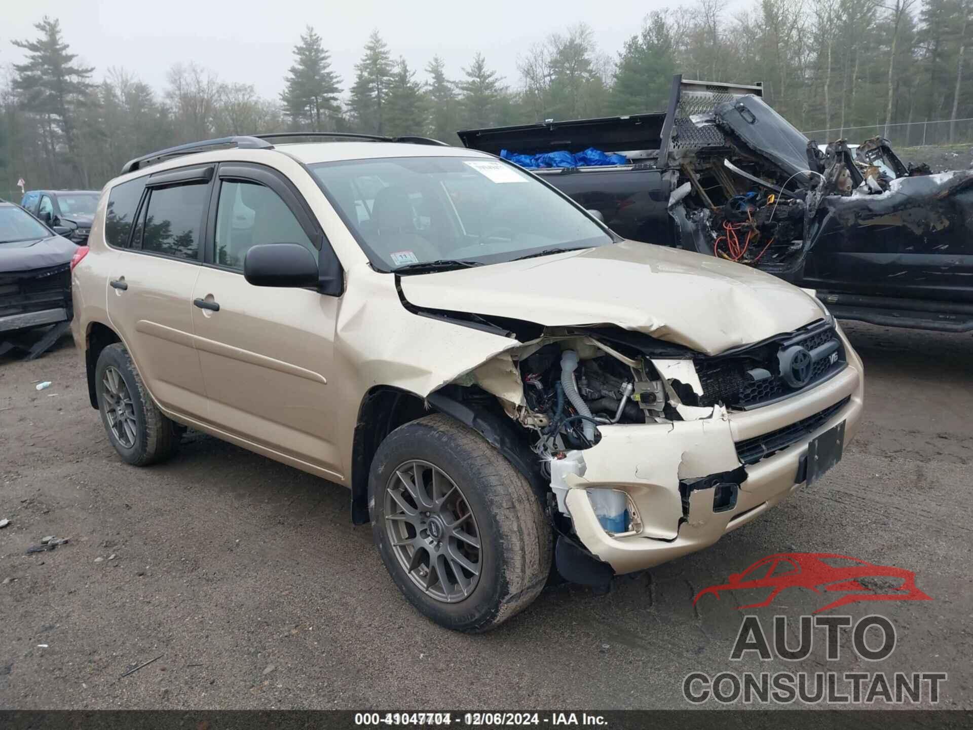 TOYOTA RAV4 2009 - 2T3BK33V09W013335