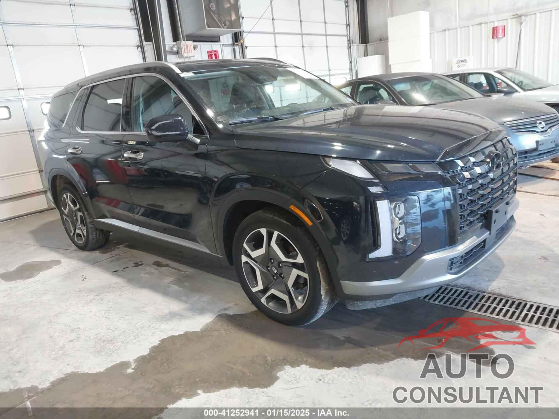 HYUNDAI PALISADE 2024 - KM8R54GE8RU717510