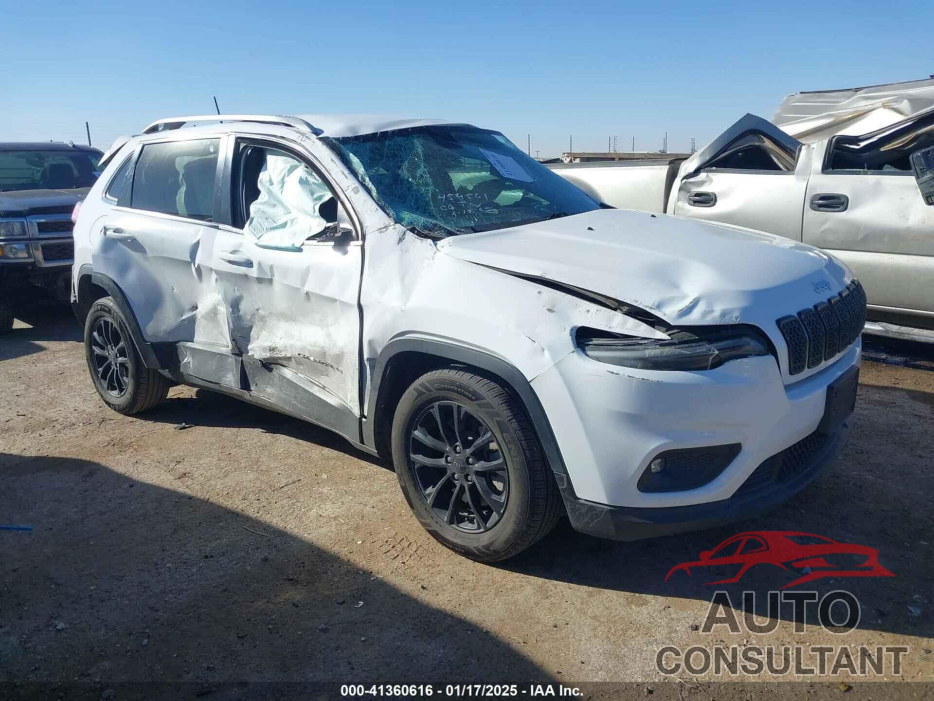 JEEP CHEROKEE 2019 - 1C4PJLCB1KD269646