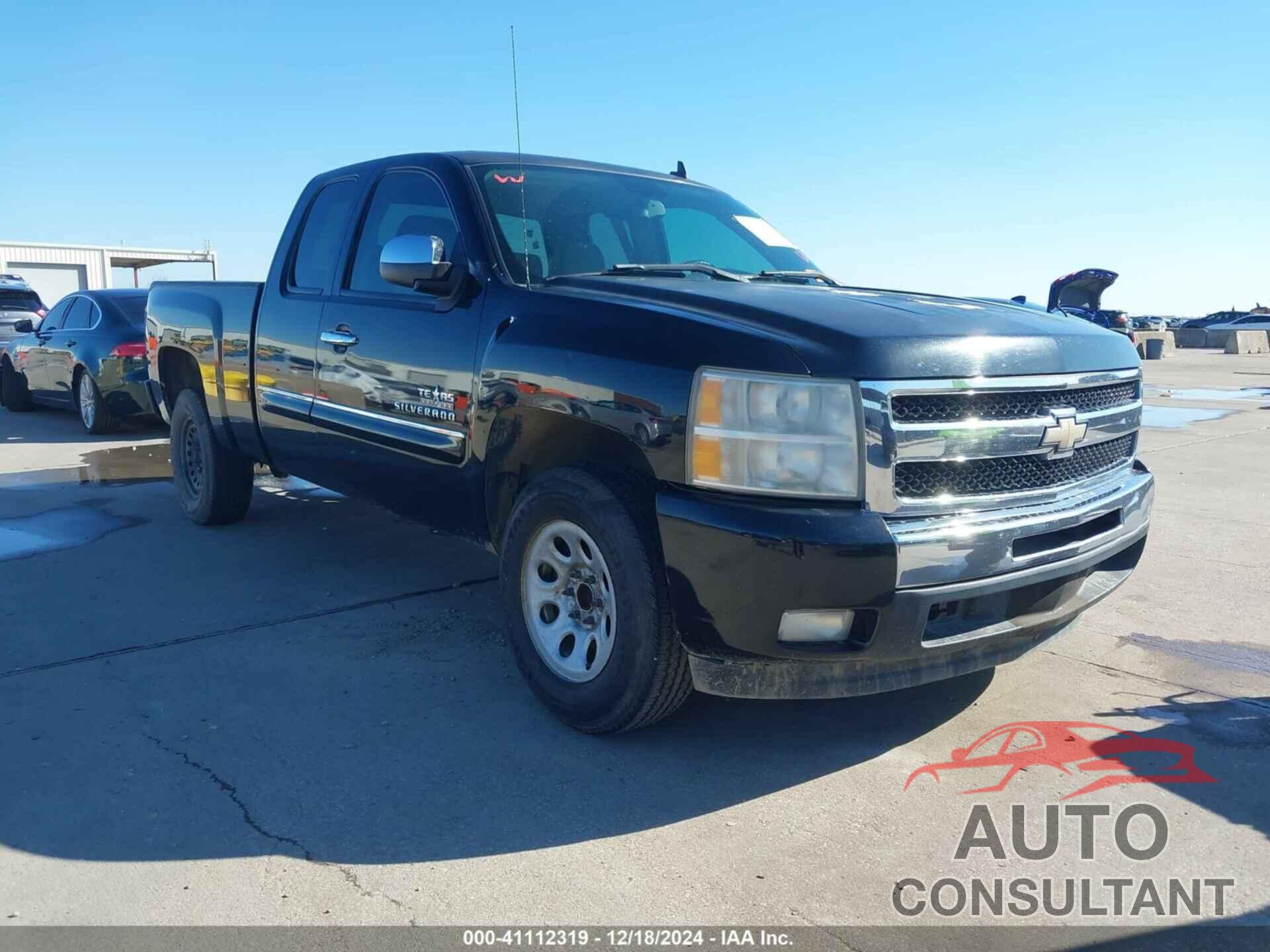 CHEVROLET SILVERADO 1500 2009 - 1GCEC29069Z292841