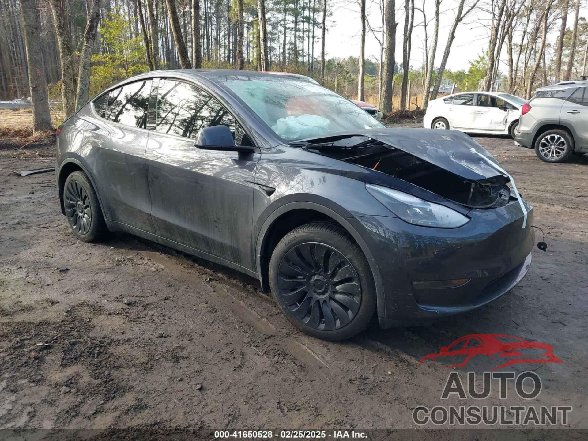 TESLA MODEL Y 2024 - 7SAYGDEE4RA271362