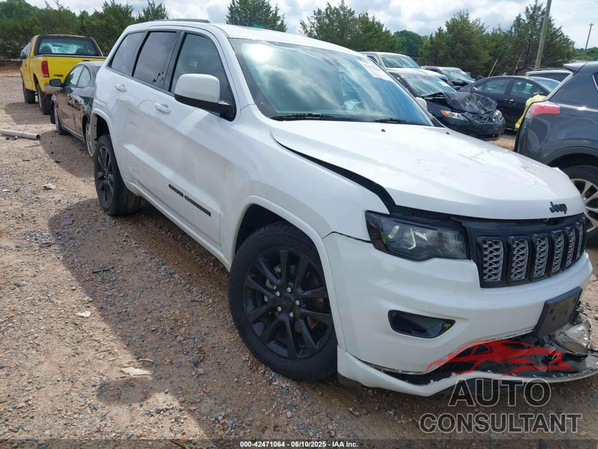 JEEP GRAND CHEROKEE 2019 - 1C4RJEAG7KC533316