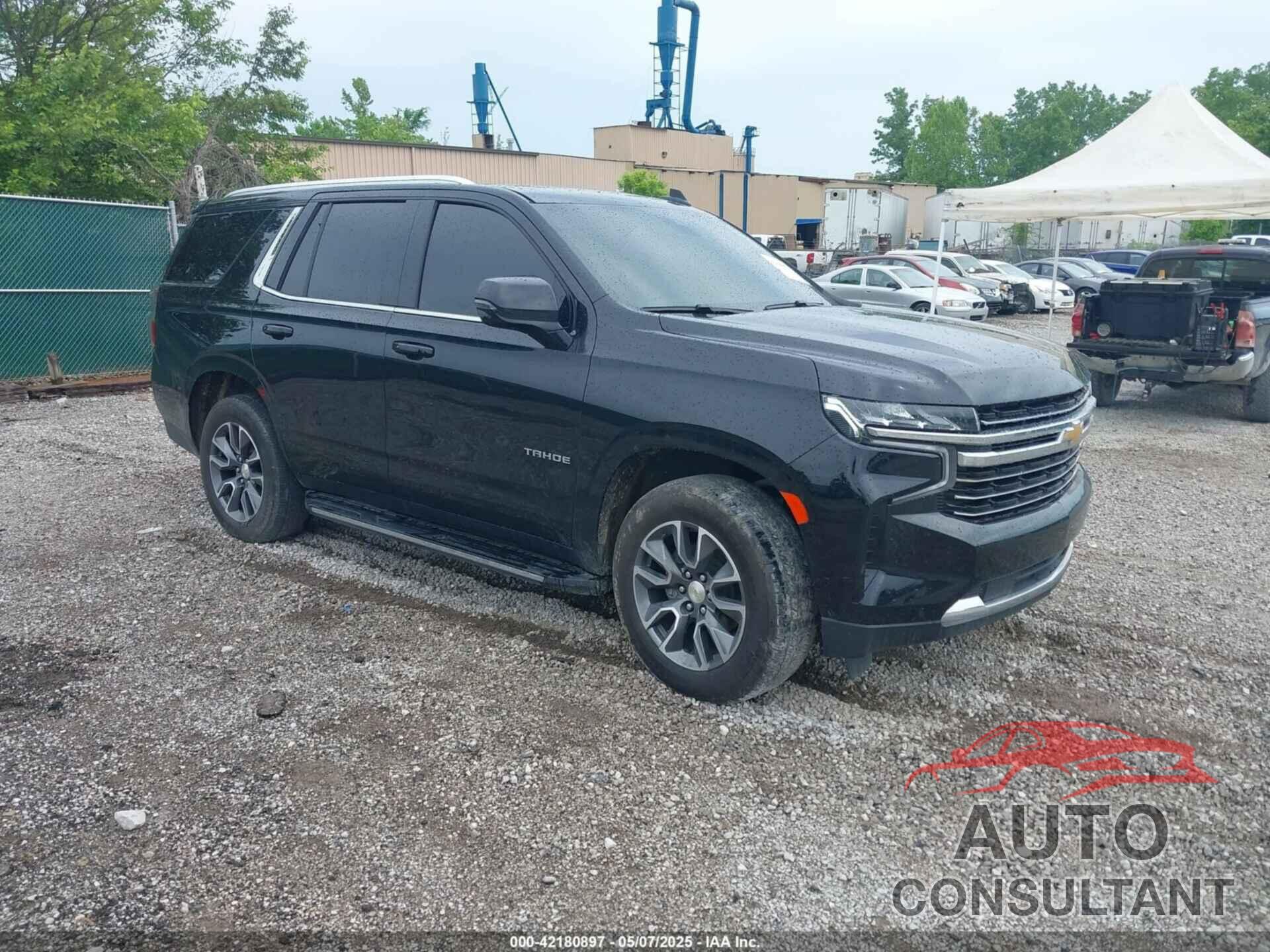 CHEVROLET TAHOE 2023 - 1GNSKNKD6PR497553