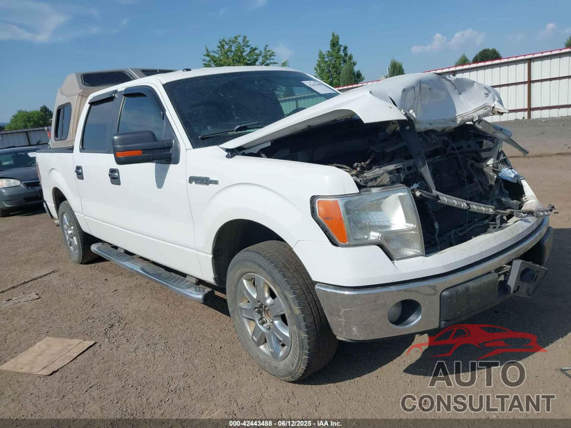 FORD F-150 2013 - 1FTFW1CF8DKE71340