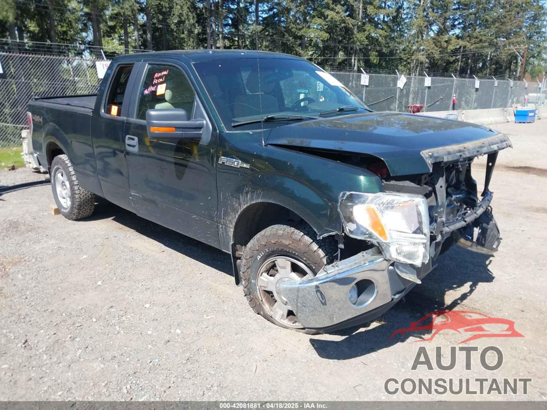 FORD F-150 2013 - 1FTFX1EF5DFD70453
