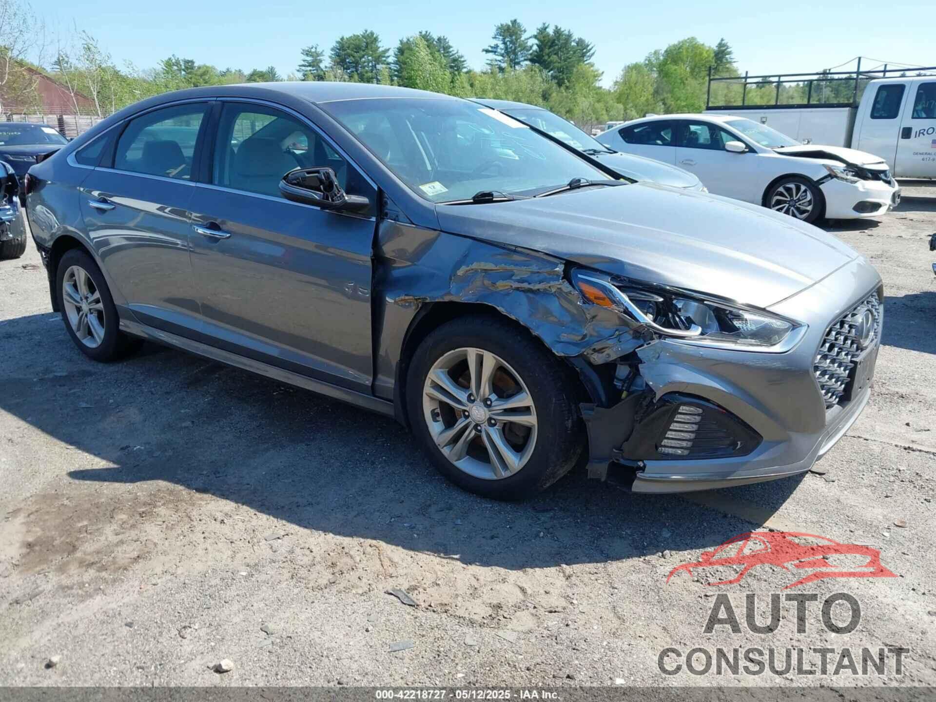 HYUNDAI SONATA 2019 - 5NPE34AF4KH733763
