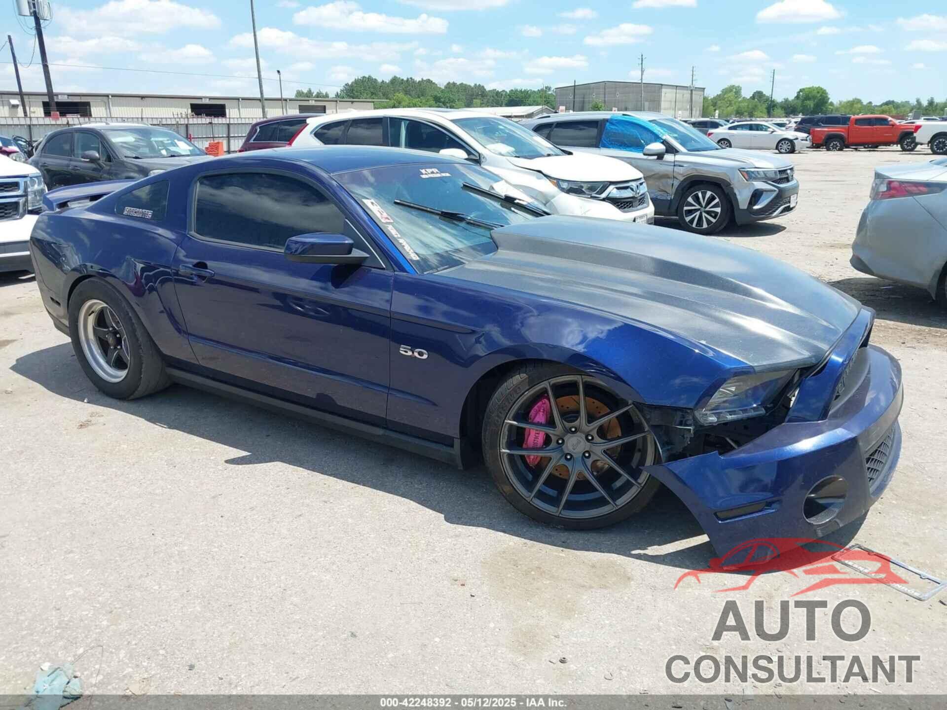 FORD MUSTANG 2011 - 1ZVBP8CF1B5147899