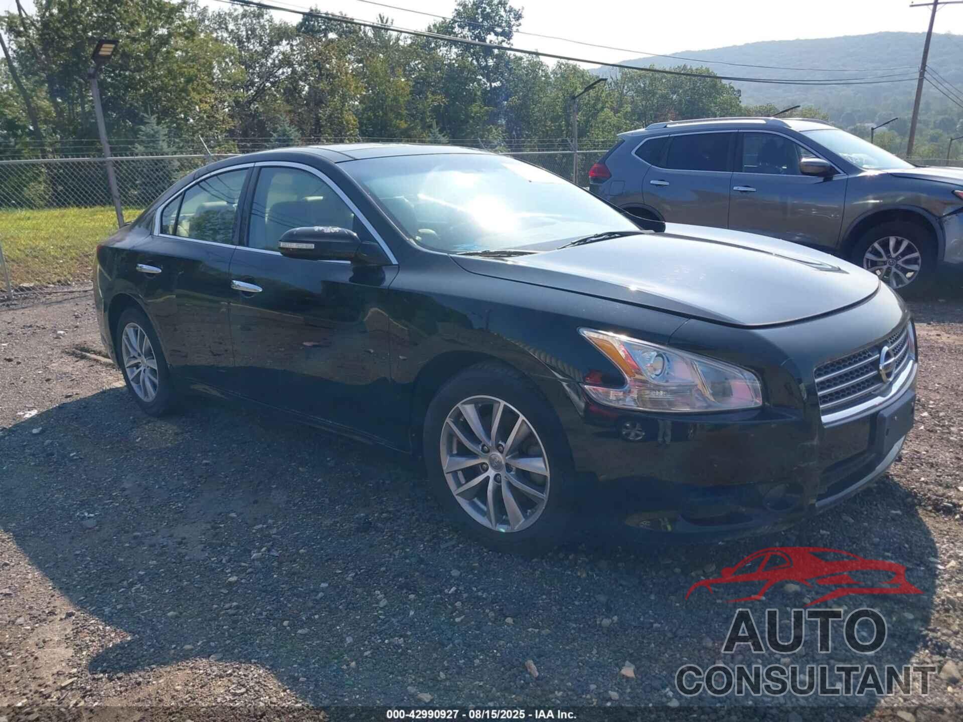 NISSAN MAXIMA 2009 - 1N4AA51EX9C826428
