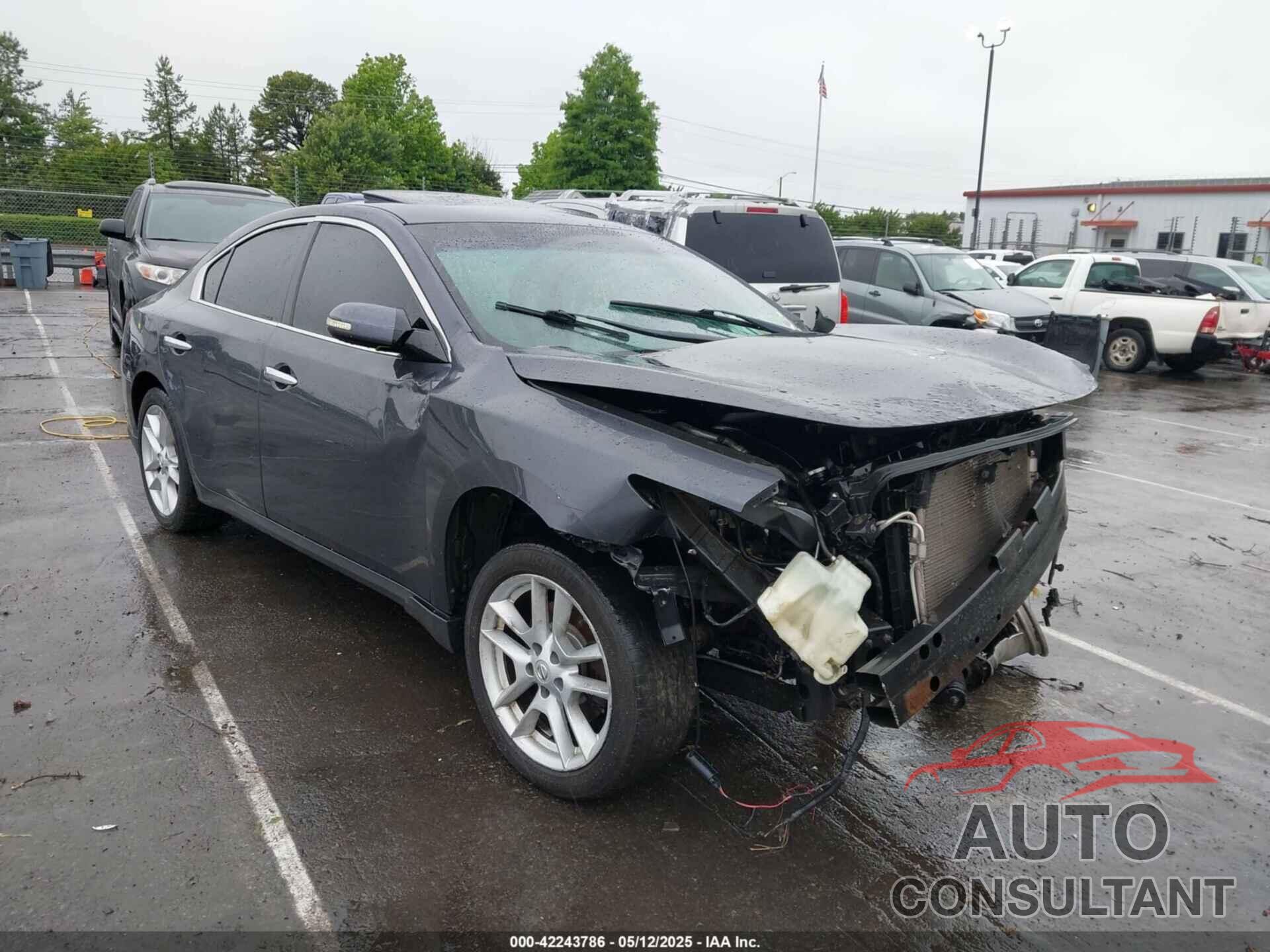 NISSAN MAXIMA 2010 - 1N4AA5AP1AC861624