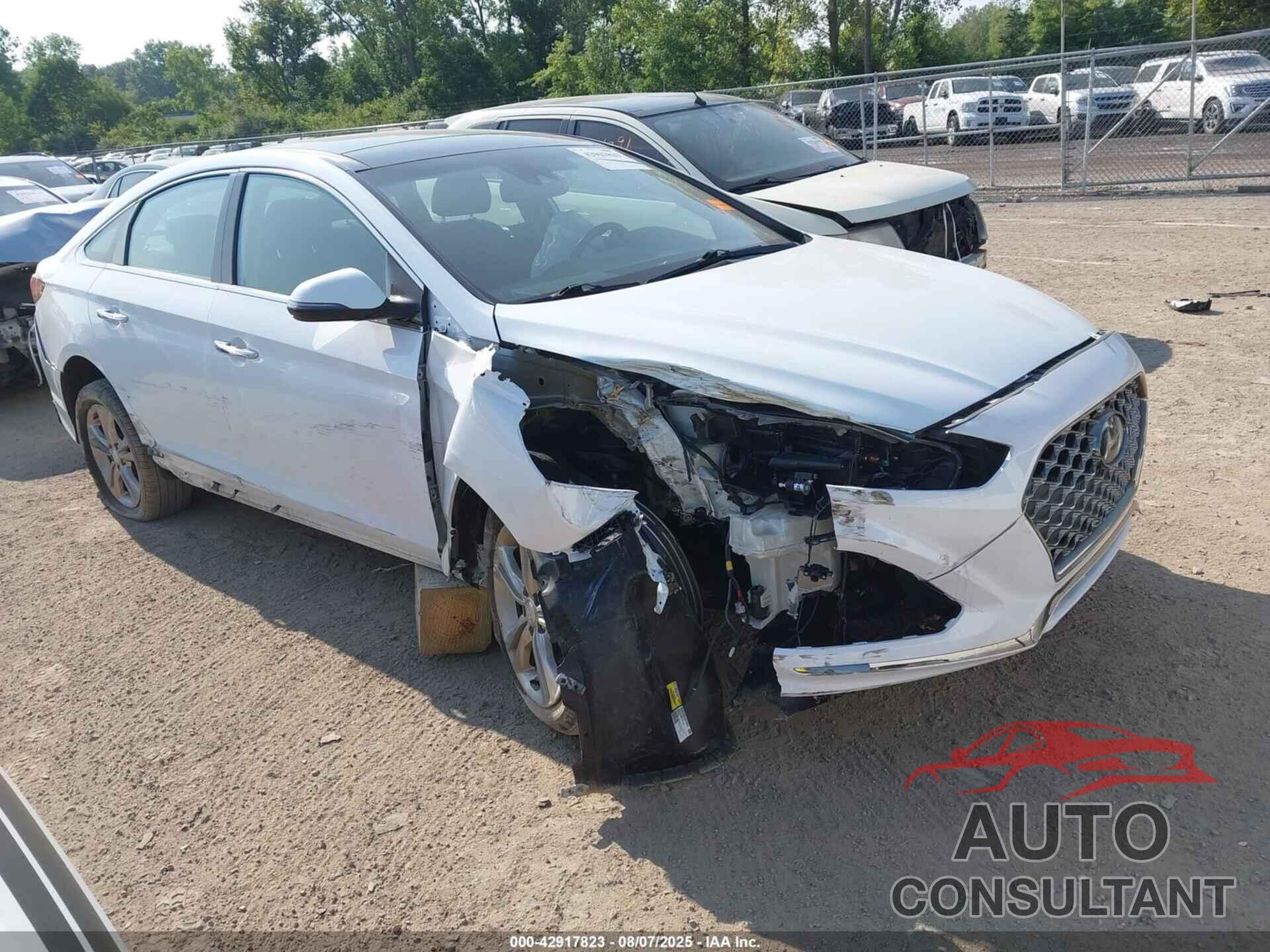 HYUNDAI SONATA 2019 - 5NPE34AF3KH773106