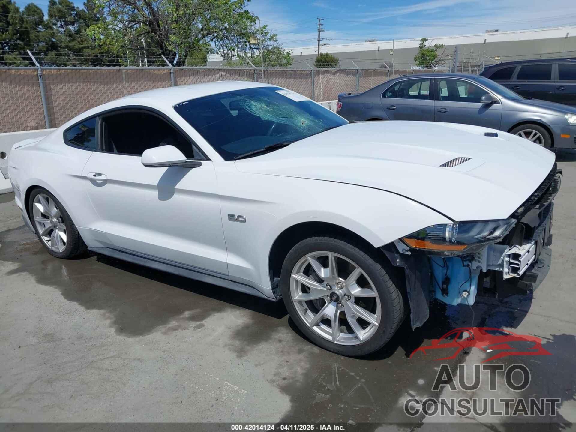 FORD MUSTANG 2019 - 1FA6P8CF2K5169663
