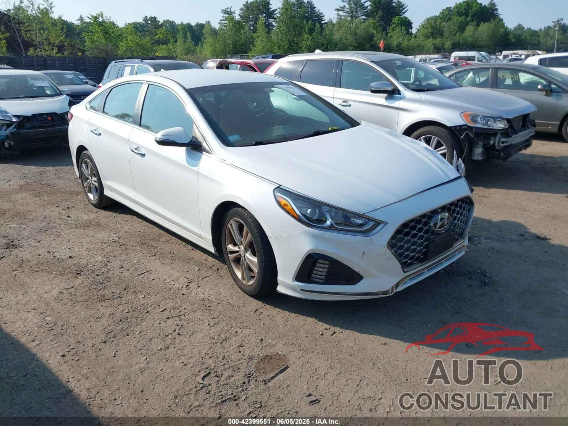 HYUNDAI SONATA 2019 - 5NPE34AF9KH785034