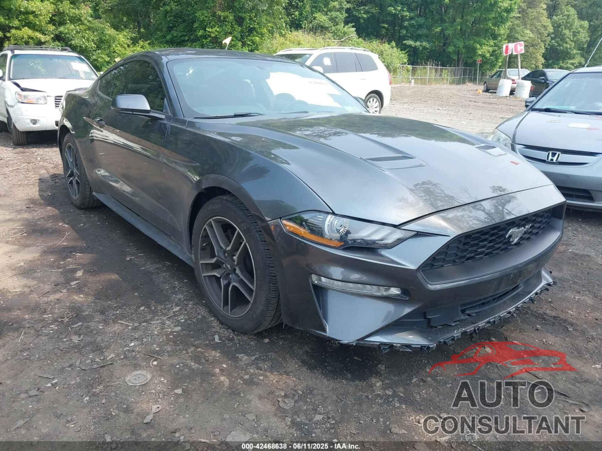 FORD MUSTANG 2019 - 1FA6P8TH0K5172014
