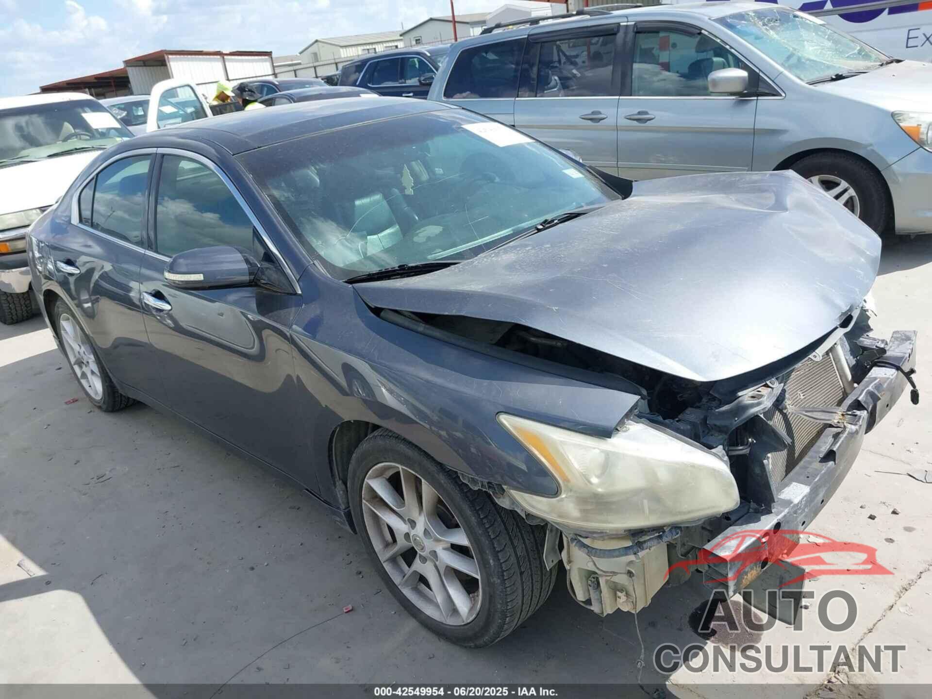 NISSAN MAXIMA 2009 - 1N4AA51E09C824946