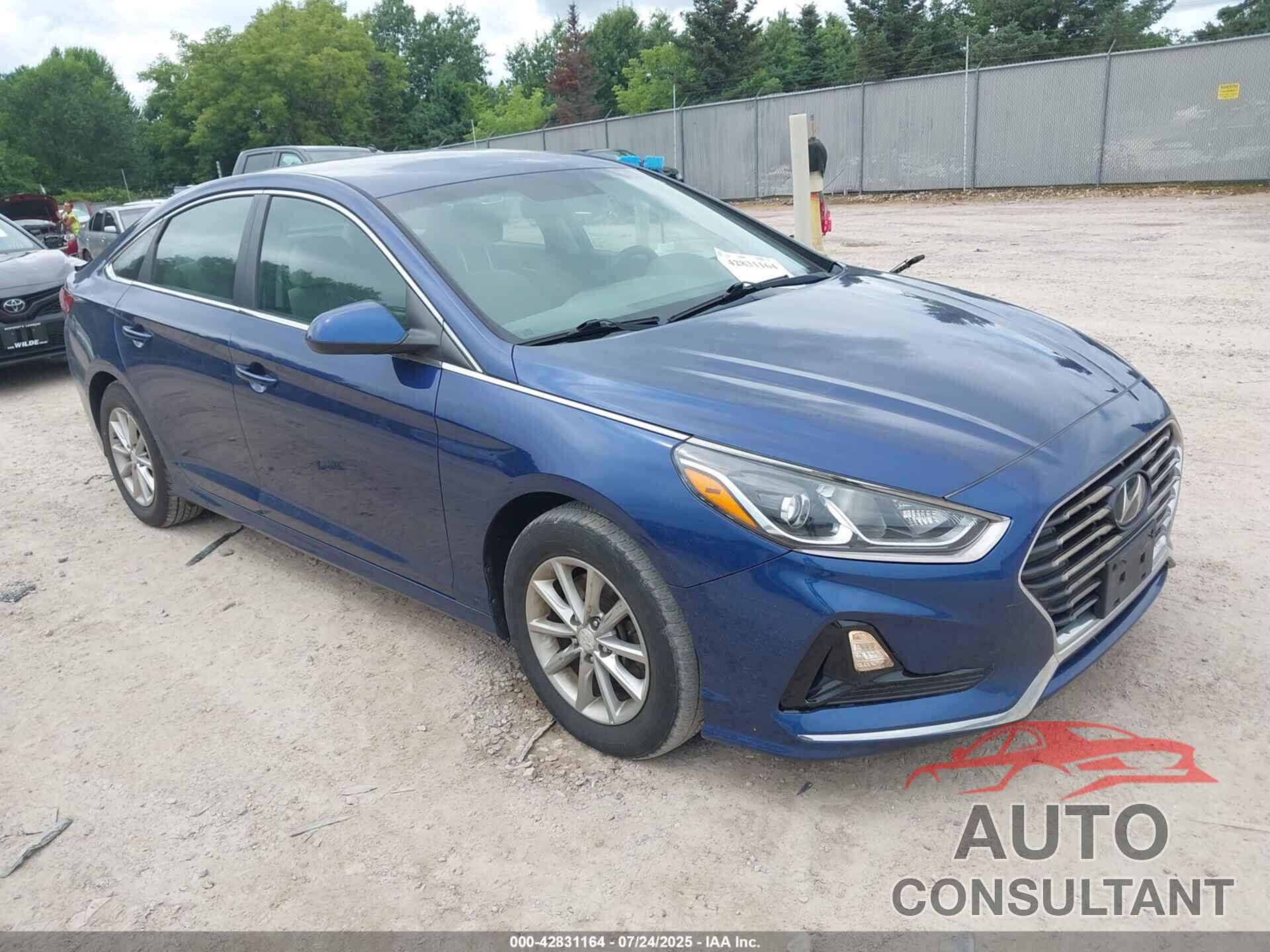 HYUNDAI SONATA 2019 - 5NPE24AF8KH777607