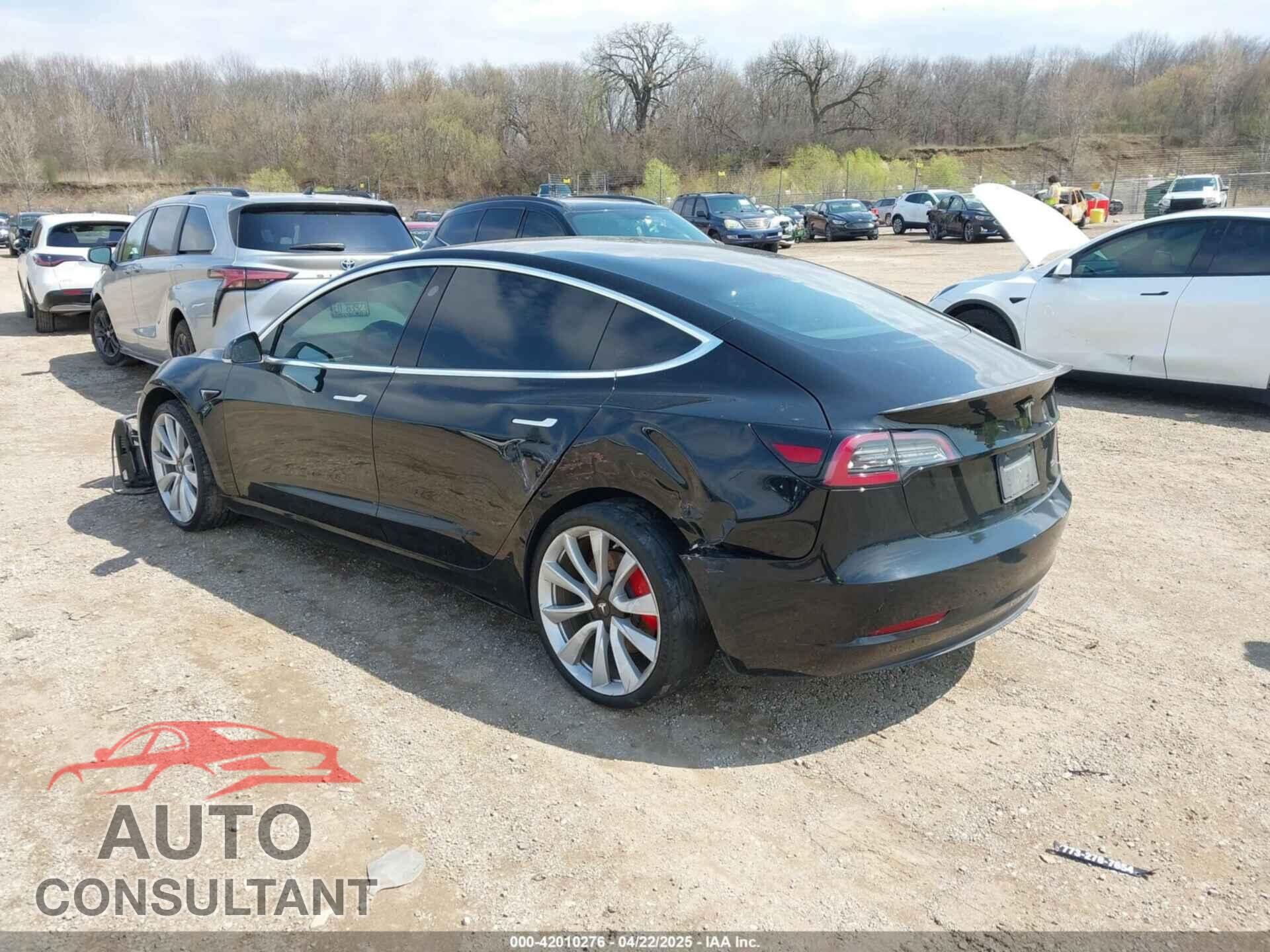 TESLA MODEL 3 2019 - 5YJ3E1EB1KF438335
