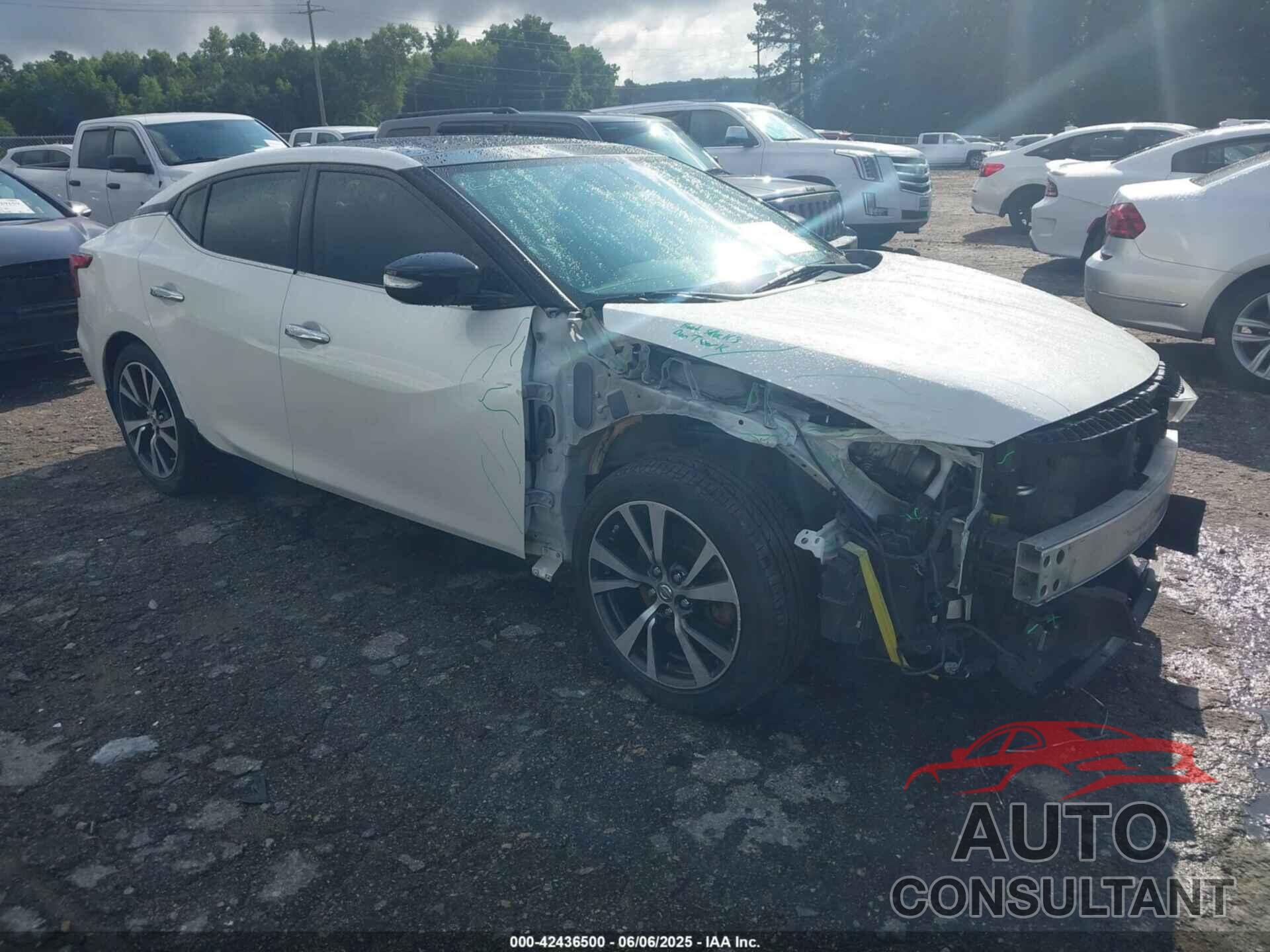 NISSAN MAXIMA 2017 - 1N4AA6AP1HC403792