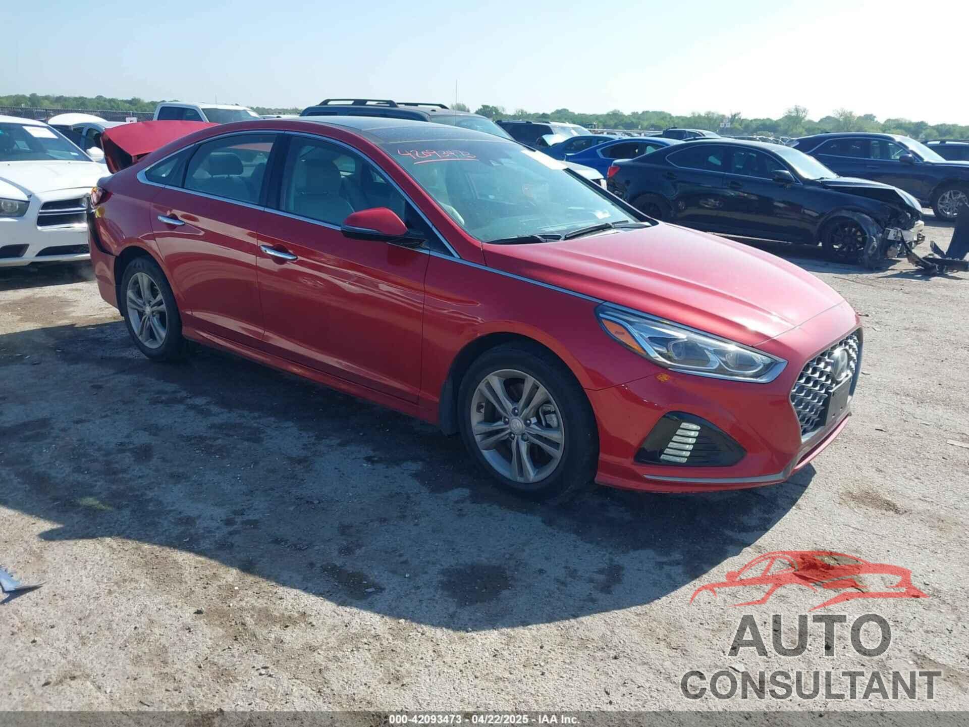 HYUNDAI SONATA 2019 - 5NPE34AF4KH796927