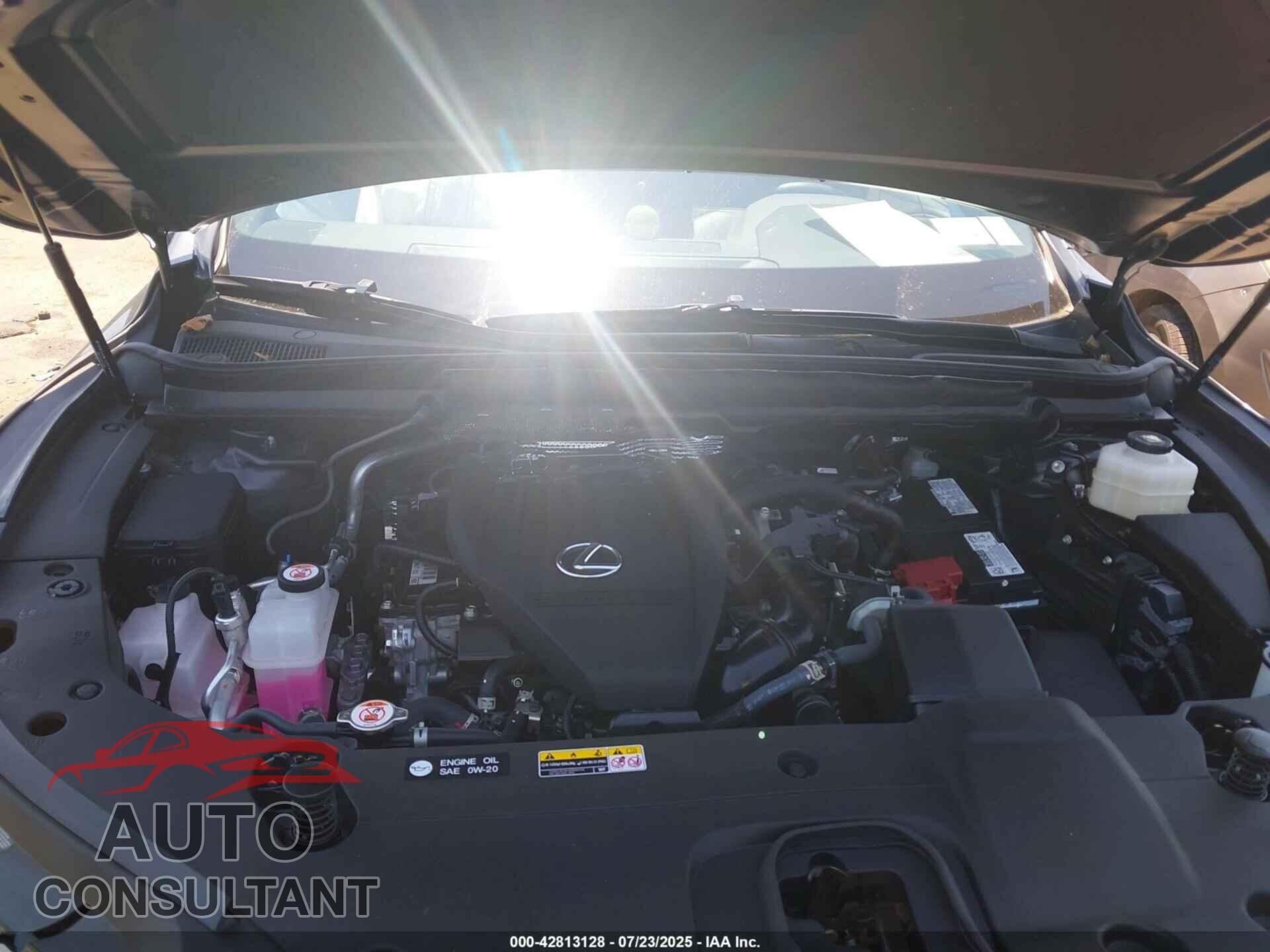 LEXUS RX 350 2024 - 2T2BAMCA7RC071602