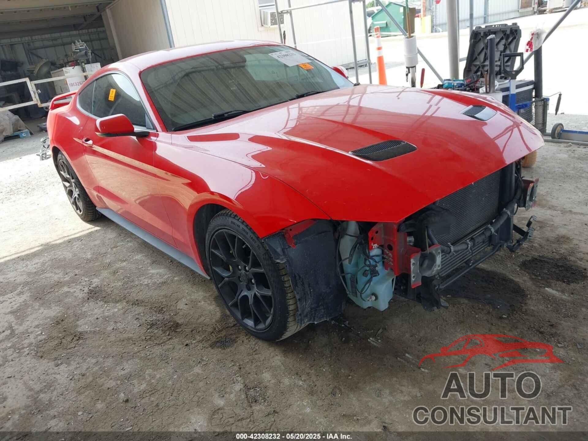 FORD MUSTANG 2019 - 1FA6P8TH9K5134989