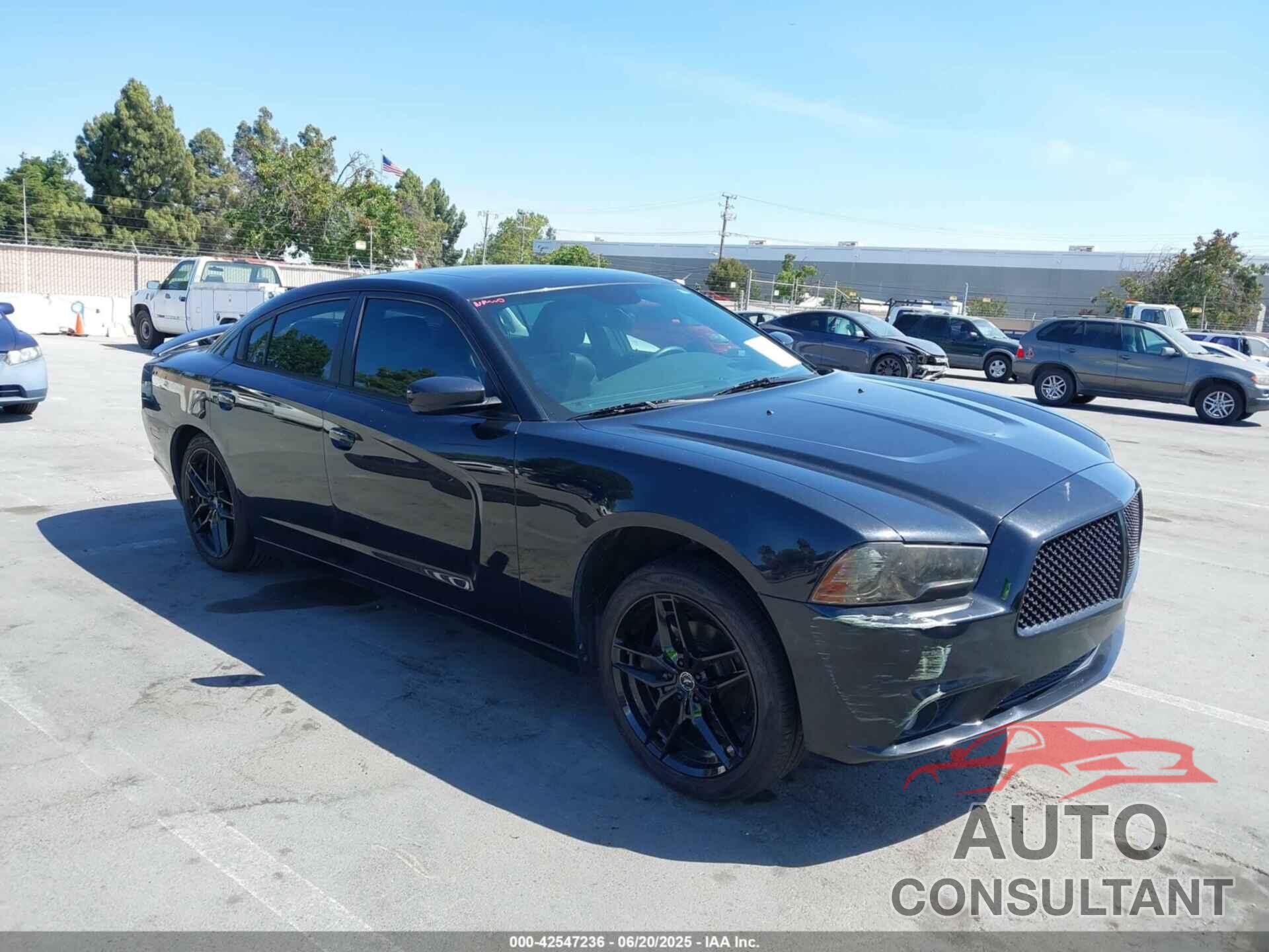 DODGE CHARGER 2014 - 2C3CDXHGXEH199335