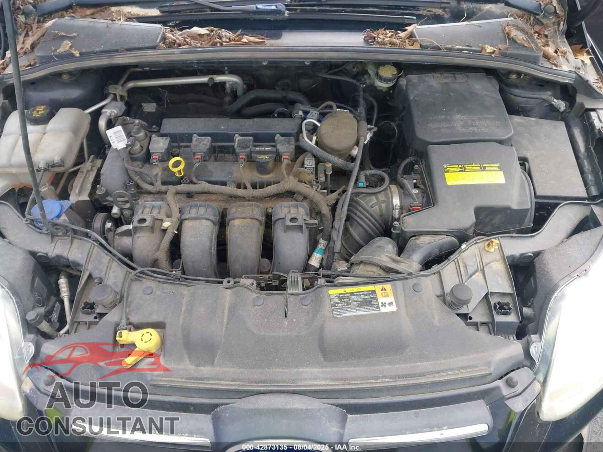 FORD FOCUS 2014 - 1FADP3F2XEL202640