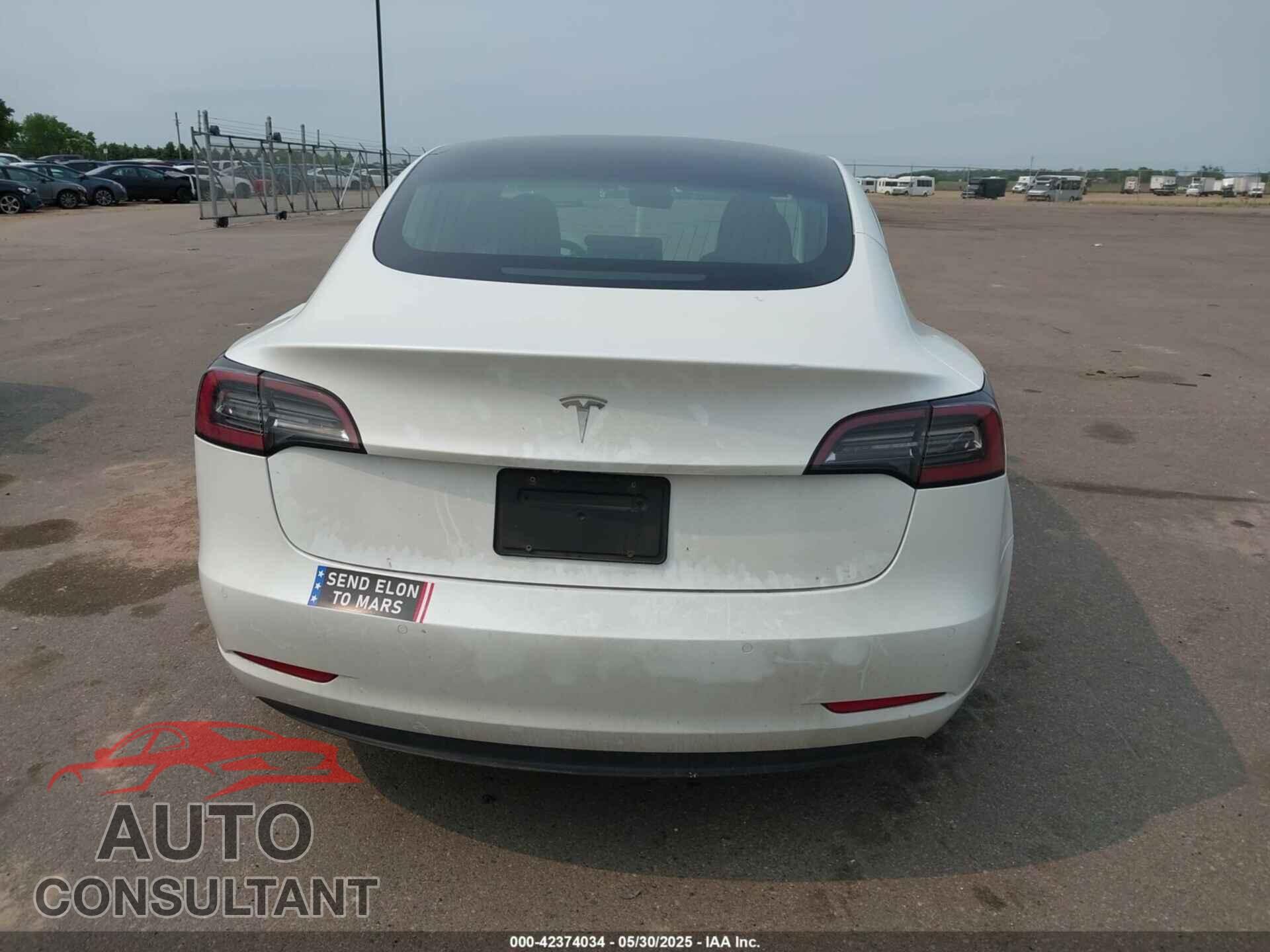 TESLA MODEL 3 2019 - 5YJ3E1EA1KF310118