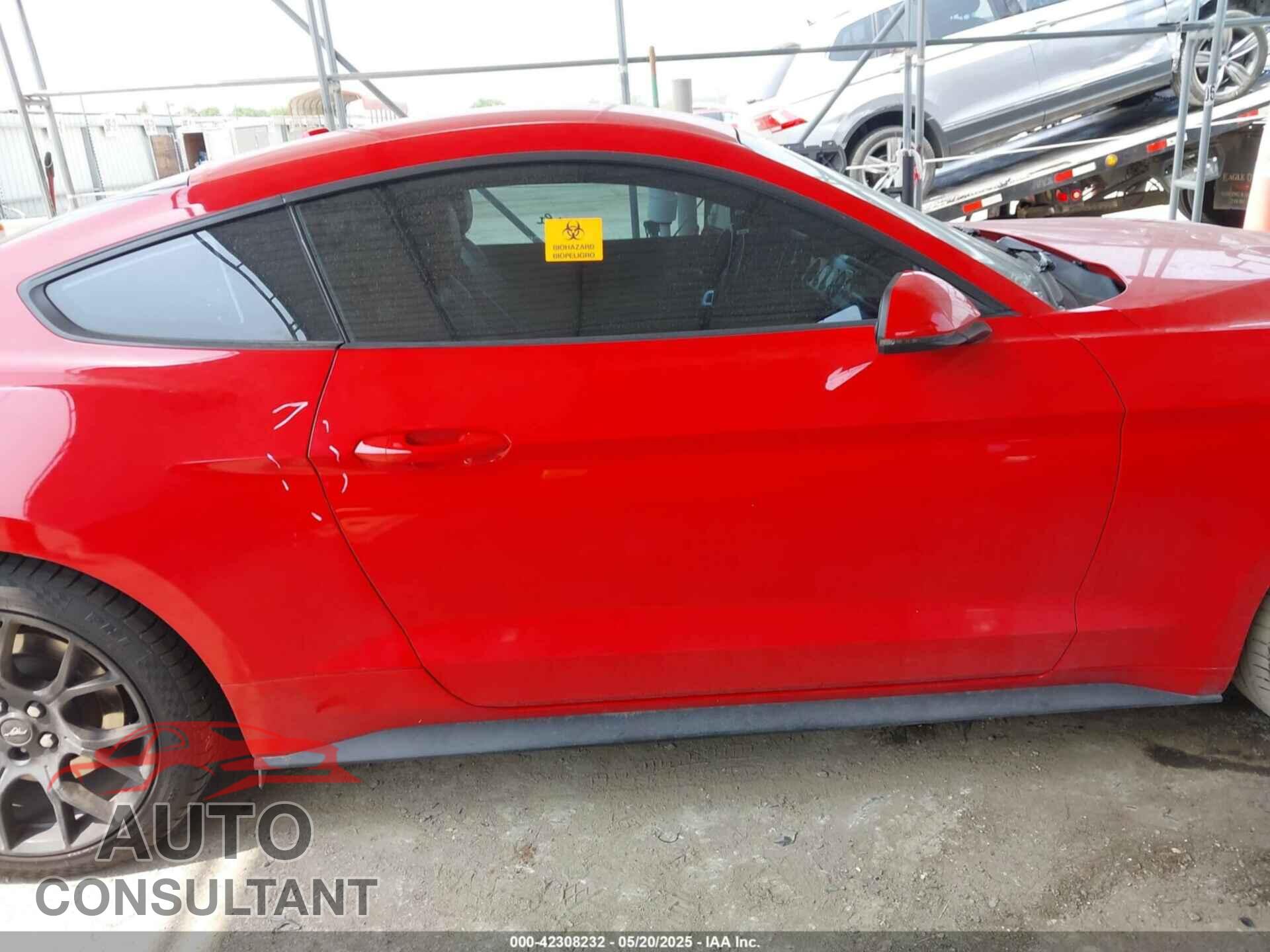 FORD MUSTANG 2019 - 1FA6P8TH9K5134989