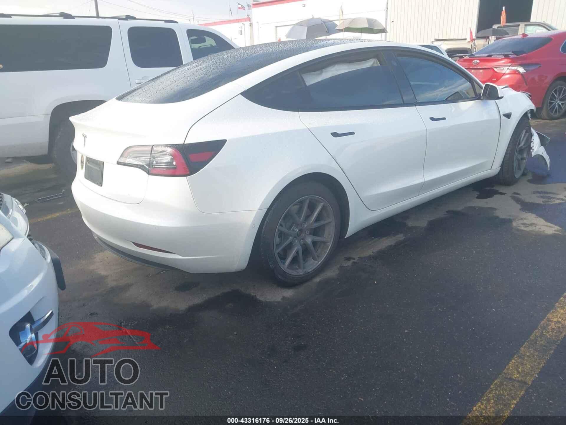 TESLA MODEL 3 2021 - 5YJ3E1EA8MF045667