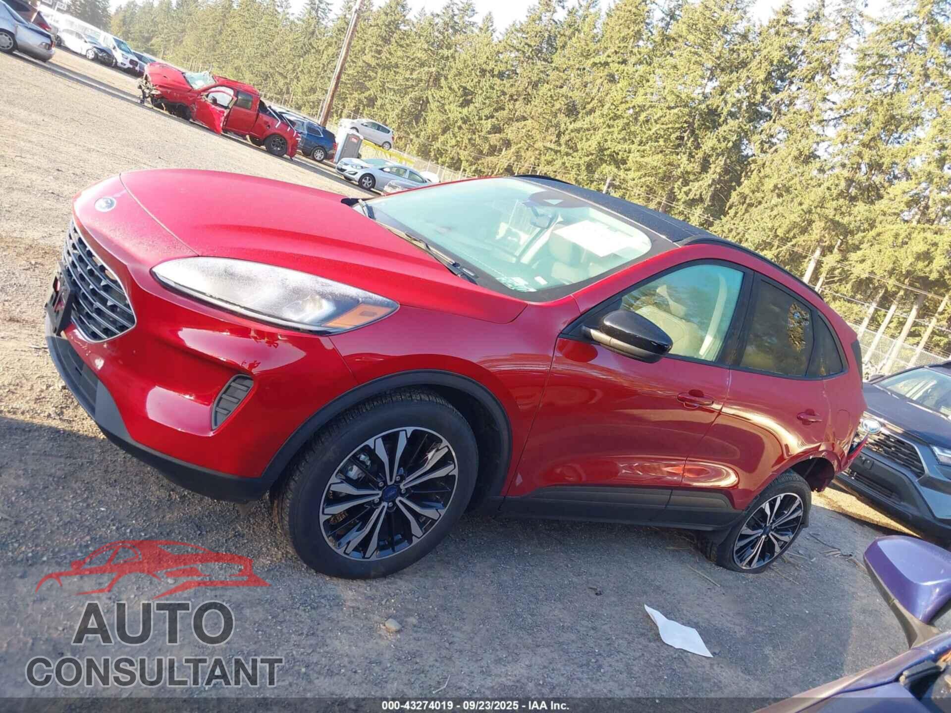FORD ESCAPE 2021 - 1FMCU9BZ6MUB20249