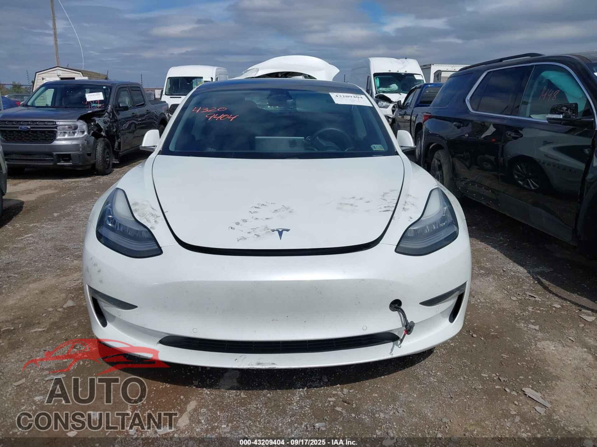 TESLA MODEL 3 2020 - 5YJ3E1EB7LF589083