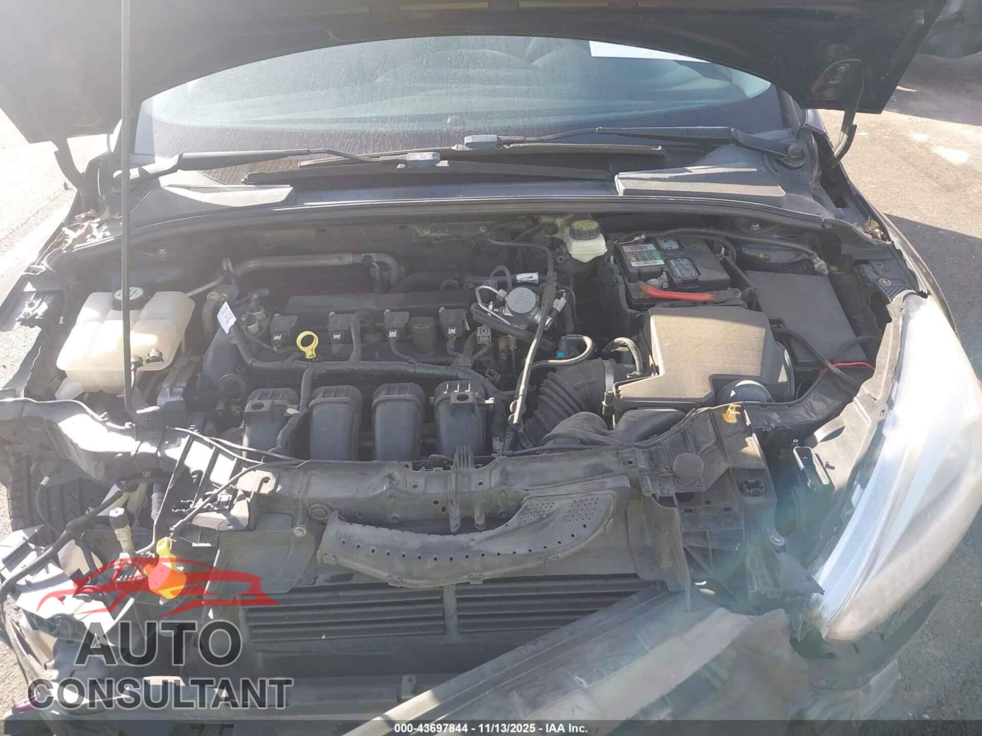FORD FOCUS 2017 - 1FADP3F29HL249548