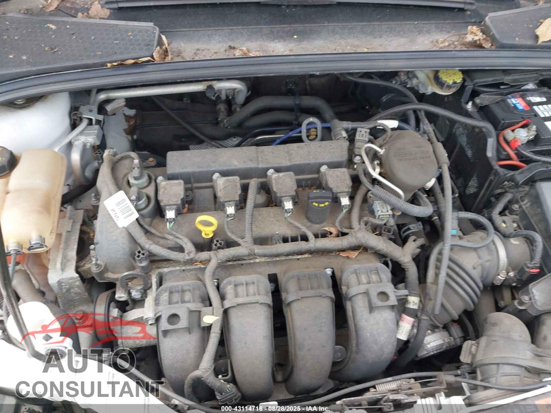 FORD FOCUS 2015 - 1FADP3K21FL315660
