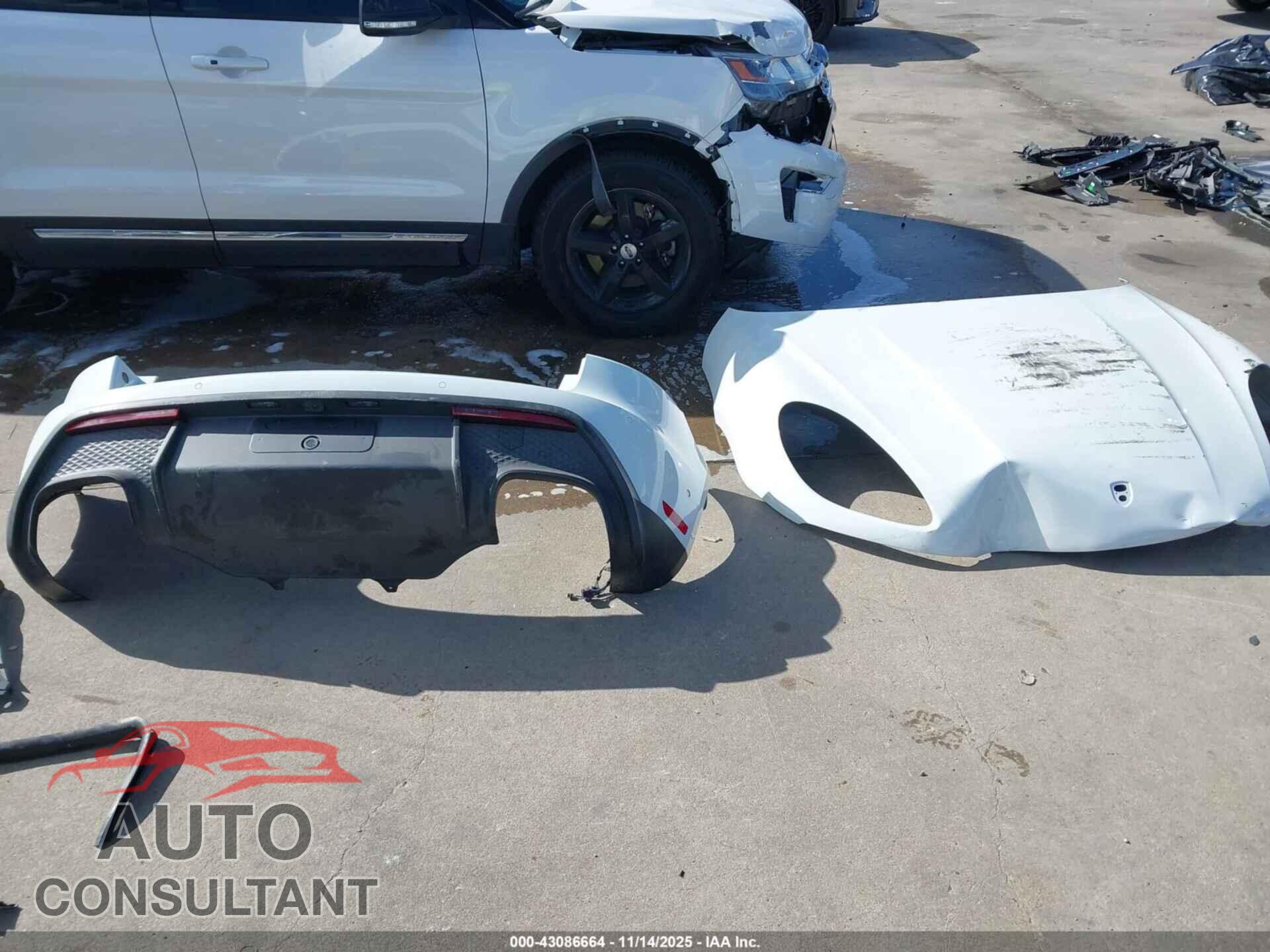 PORSCHE MACAN 2025 - WP1AA2A51SLB09302